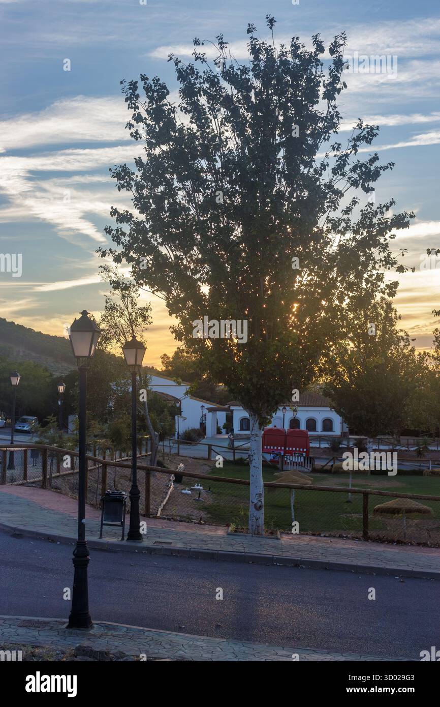 Retroilluminazione e sagome al tramonto nell'area giochi e ristoranti del campeggio a Humilladero, Málaga, Spagna. Foto Stock