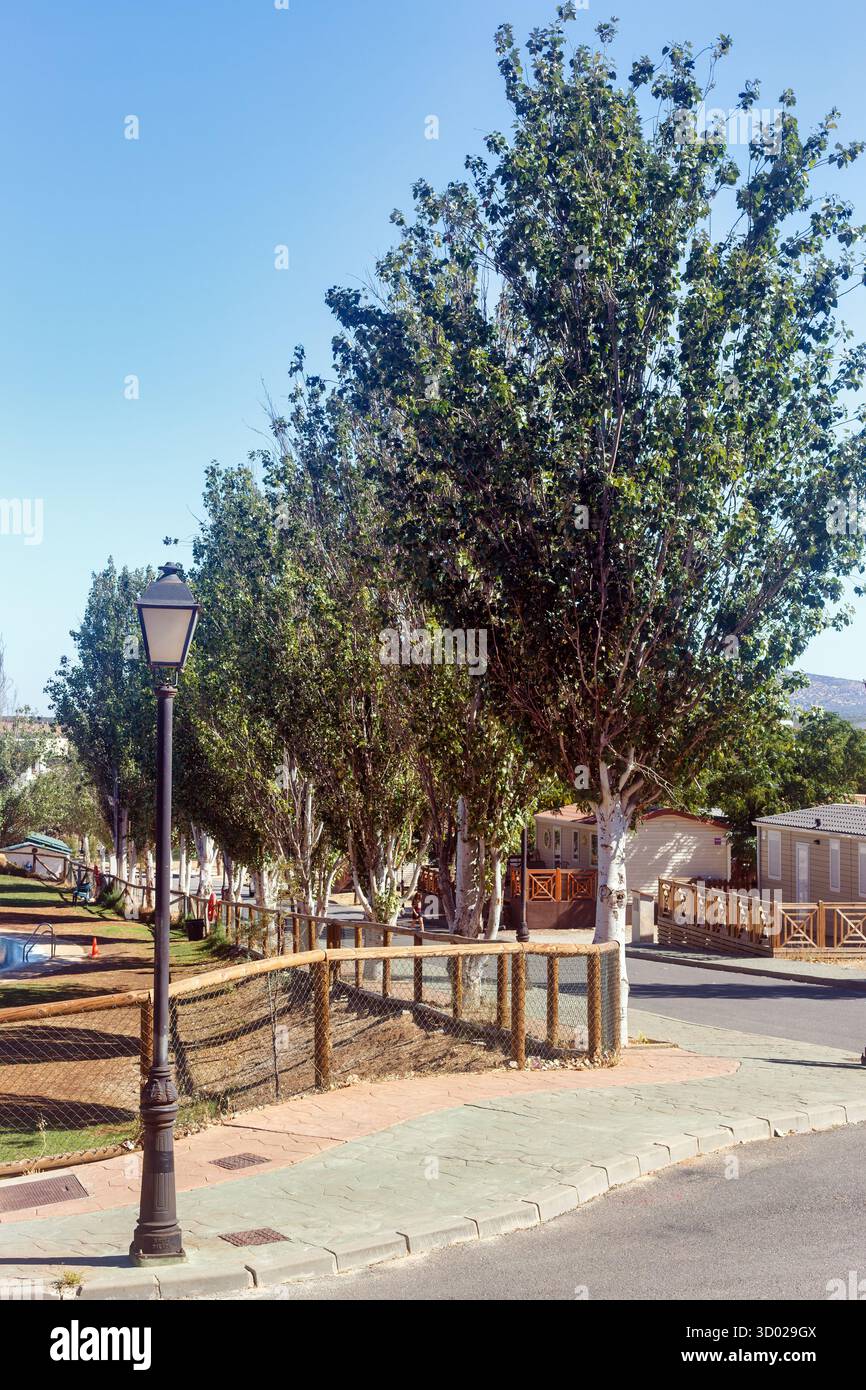 Passerella alberata all'aperto con bungalow e lampioni in un campeggio rurale a Humilladero, Málaga, Spagna Foto Stock