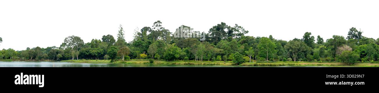 Linea di alberi di foresta verde naturale con sfondo bianco trasparente per progetti creativi e di design. foresta naturale, linea di alberi, alberi verdi, isol della natura Foto Stock