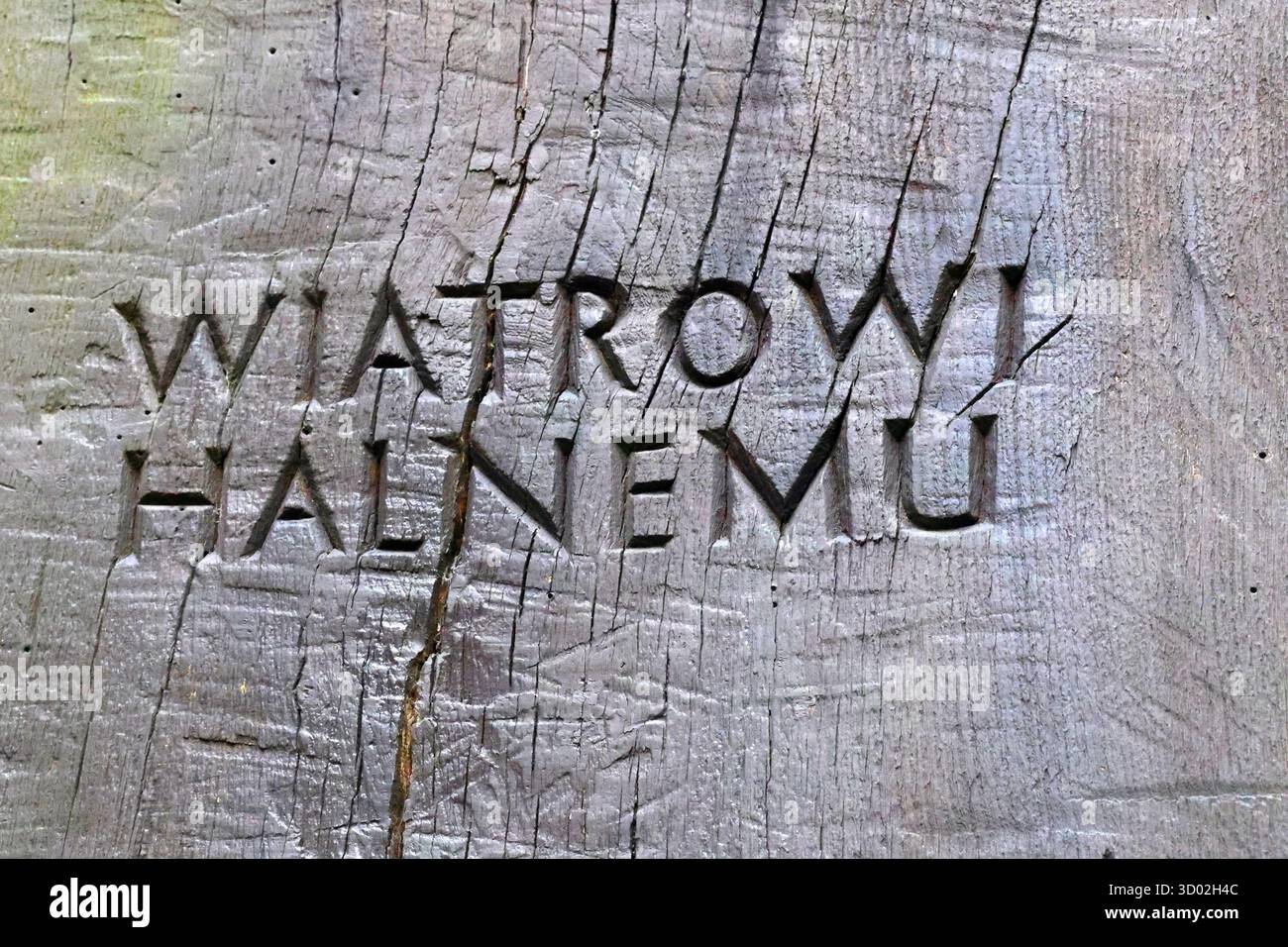 Iscrizione rustica in polacco su legno "al vento di montagna" sulla tomba Foto Stock
