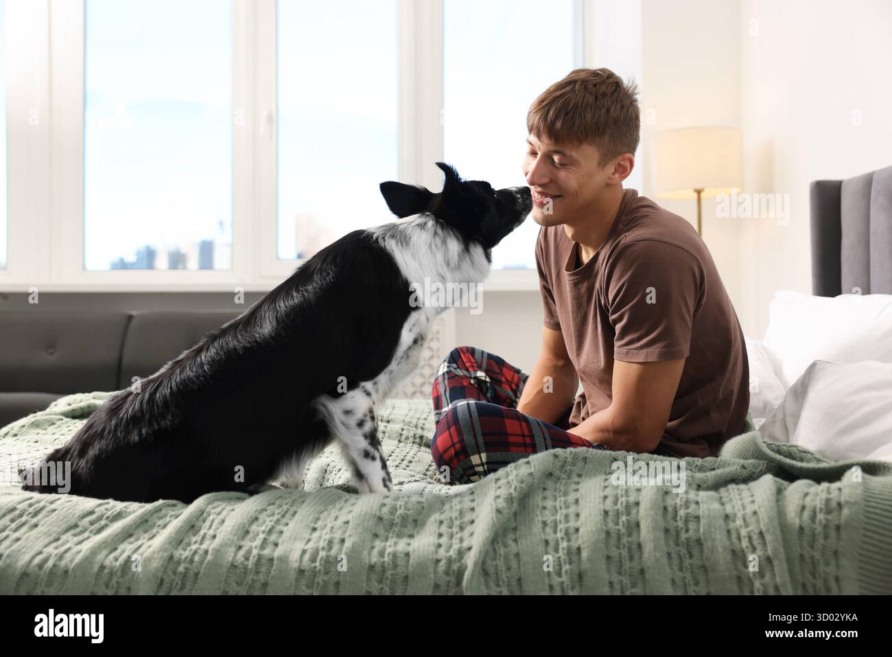 Hotel in cui sono ammessi gli animali domestici. L'uomo e il suo carino cane a letto al chiuso Foto Stock