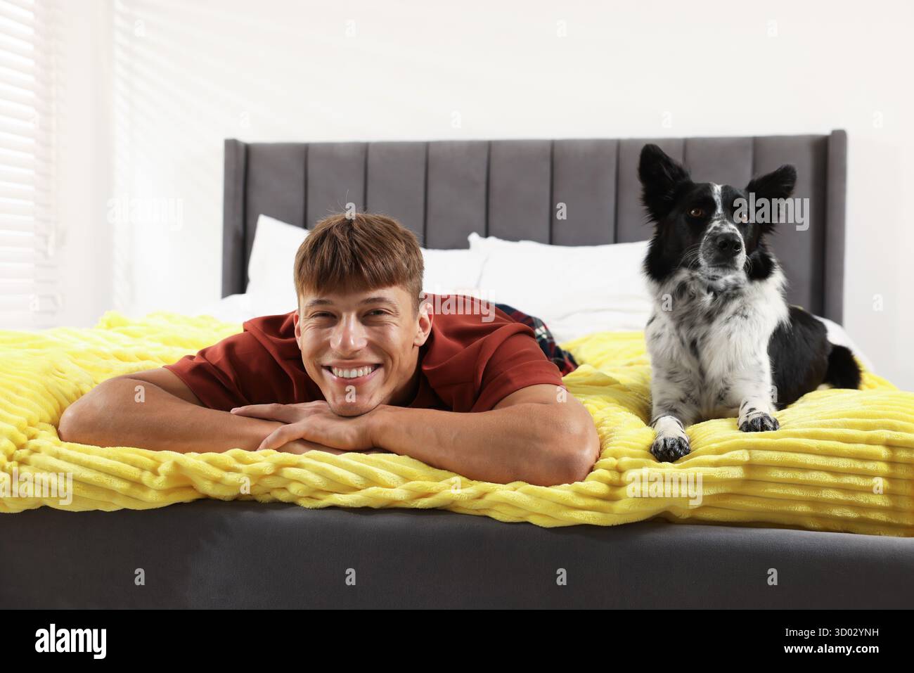 Hotel in cui sono ammessi gli animali domestici. L'uomo e il suo carino cane a letto al chiuso Foto Stock