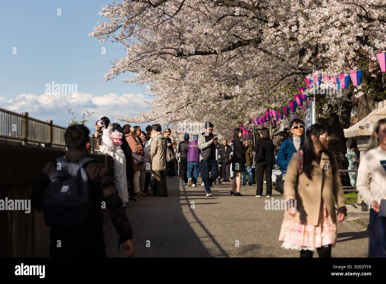 Folle di persone che si godono l'annuale festival di Hanami sotto gli alberi sakura in fiore a Tokyo Foto Stock