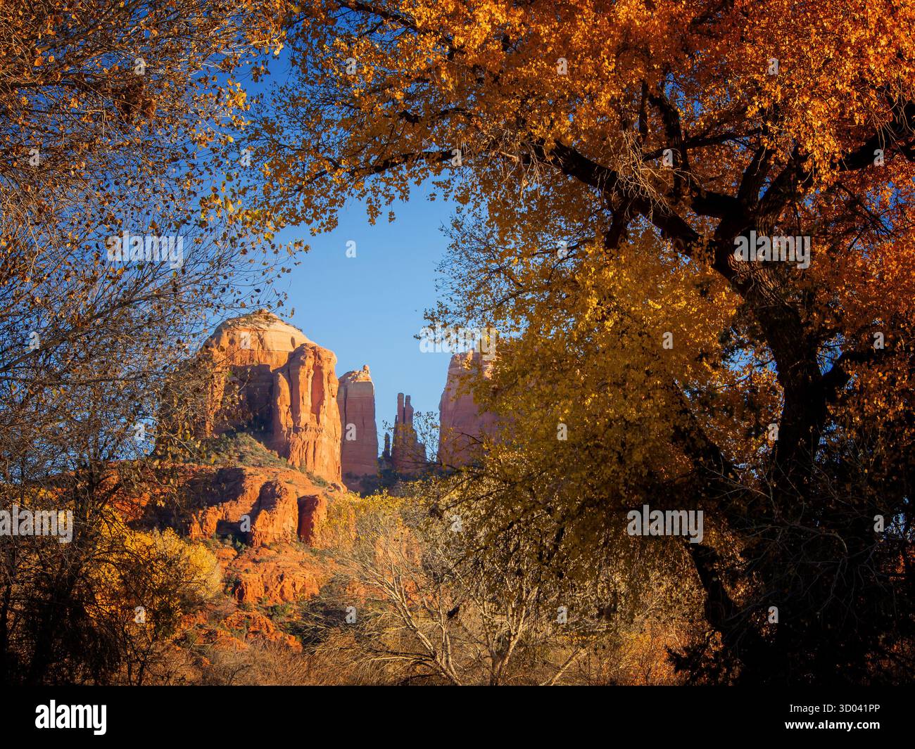 A Sedona, Arizona, l'autunno è il periodo più bello del parco. Il sole splende sull'arenaria e sugli alberi d'autunno gialli. Tutto è così tranquillo! Foto Stock