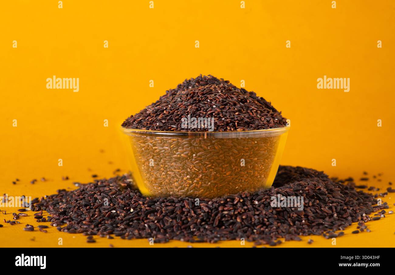 Riso Kavuni nero organico in una ciotola di vetro su un vibrante sfondo giallo, antica varietà di riso tradizionale dell'India meridionale ricca di antiossidanti. Foto Stock