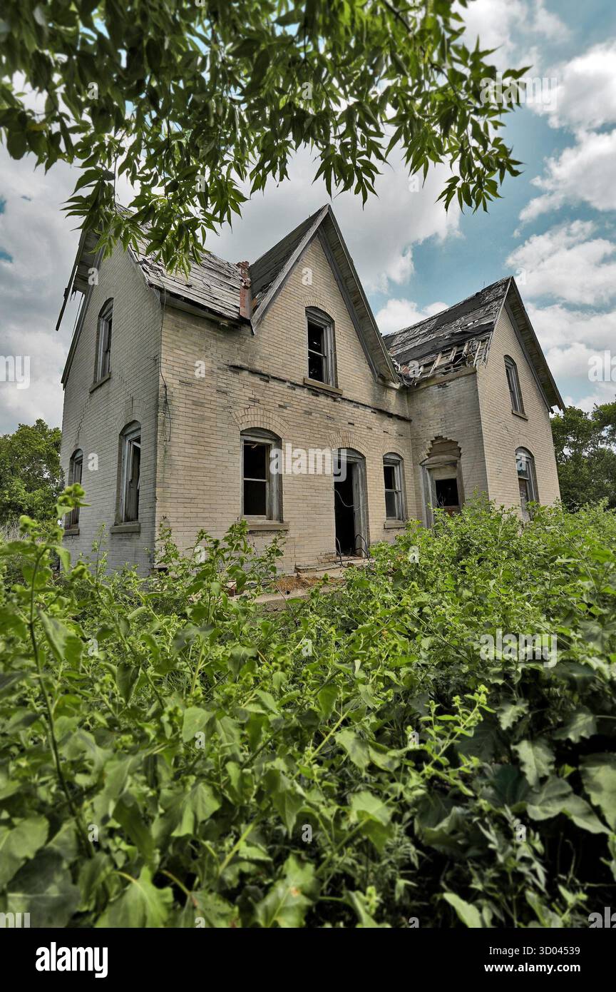 Fattoria rurale abbandonata circondata da una folta crescita eccessiva, che mostra pareti e tetto decadenti sotto il cielo estivo. Foto Stock