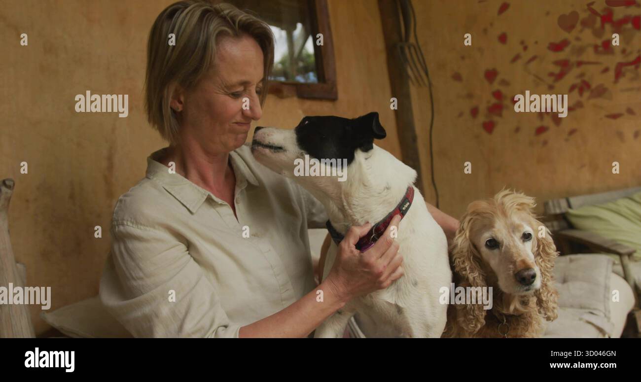 Tiene in mano un cane bianco e nero e accarezza lo spaniel dorato sulla panchina del portico, con finestra e cuori rossi Foto Stock