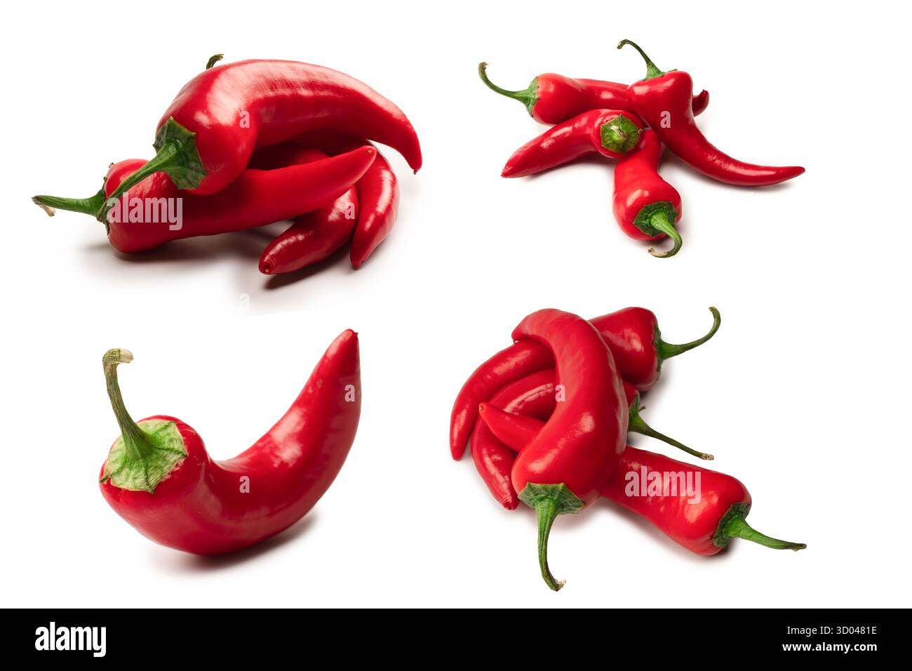 Red hot chili pepper isolato su uno sfondo bianco. Foto Stock