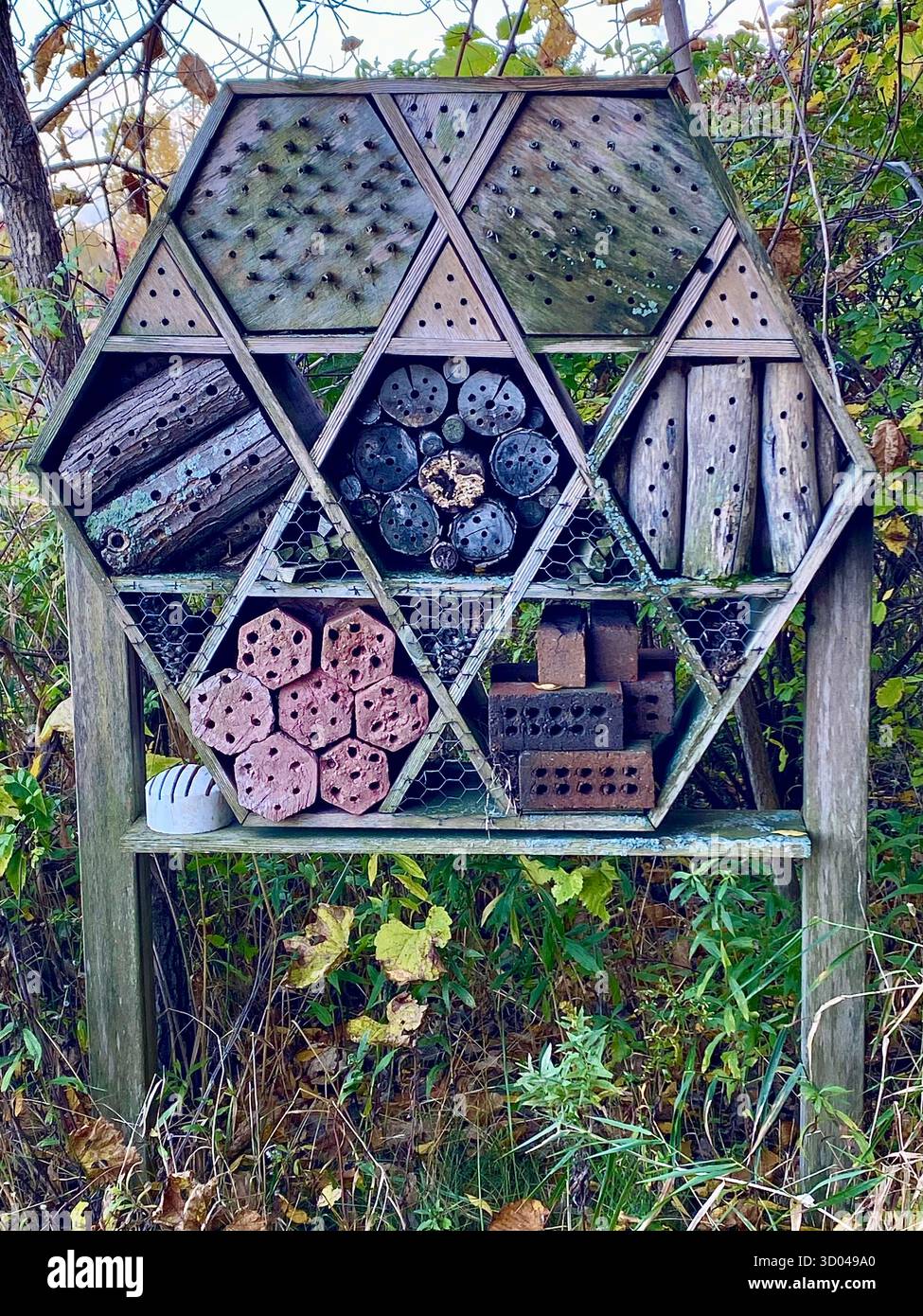 Insect hotel ai margini della foresta in autunno, autunno per preservare e aiutare gli insetti a nidificare e a ibernare nel Midwest, Stati Uniti - Immagine stock catturata con smartphone
