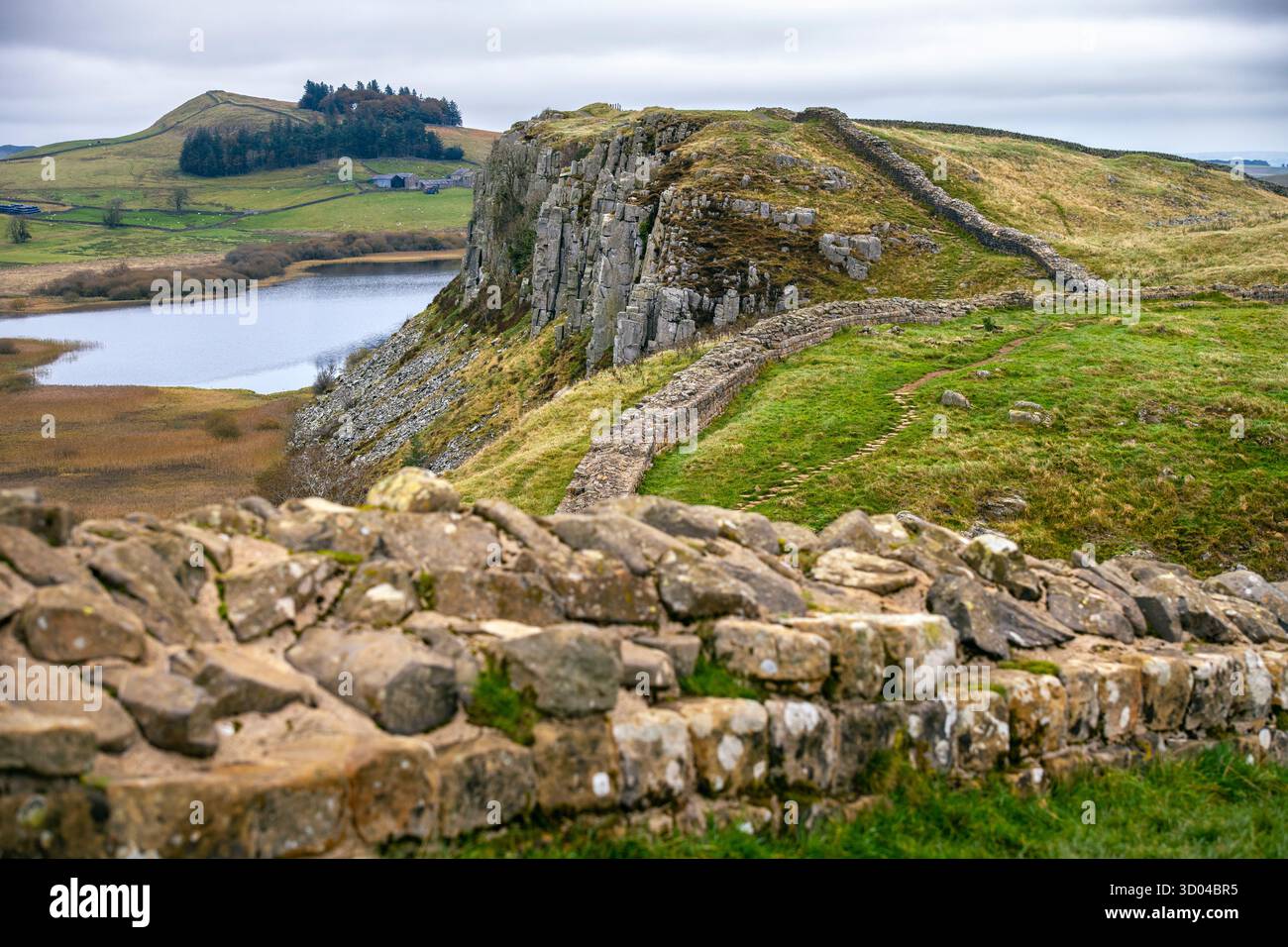 Vista del Vallo di Adriano in Northumberland, England, Regno Unito Foto Stock