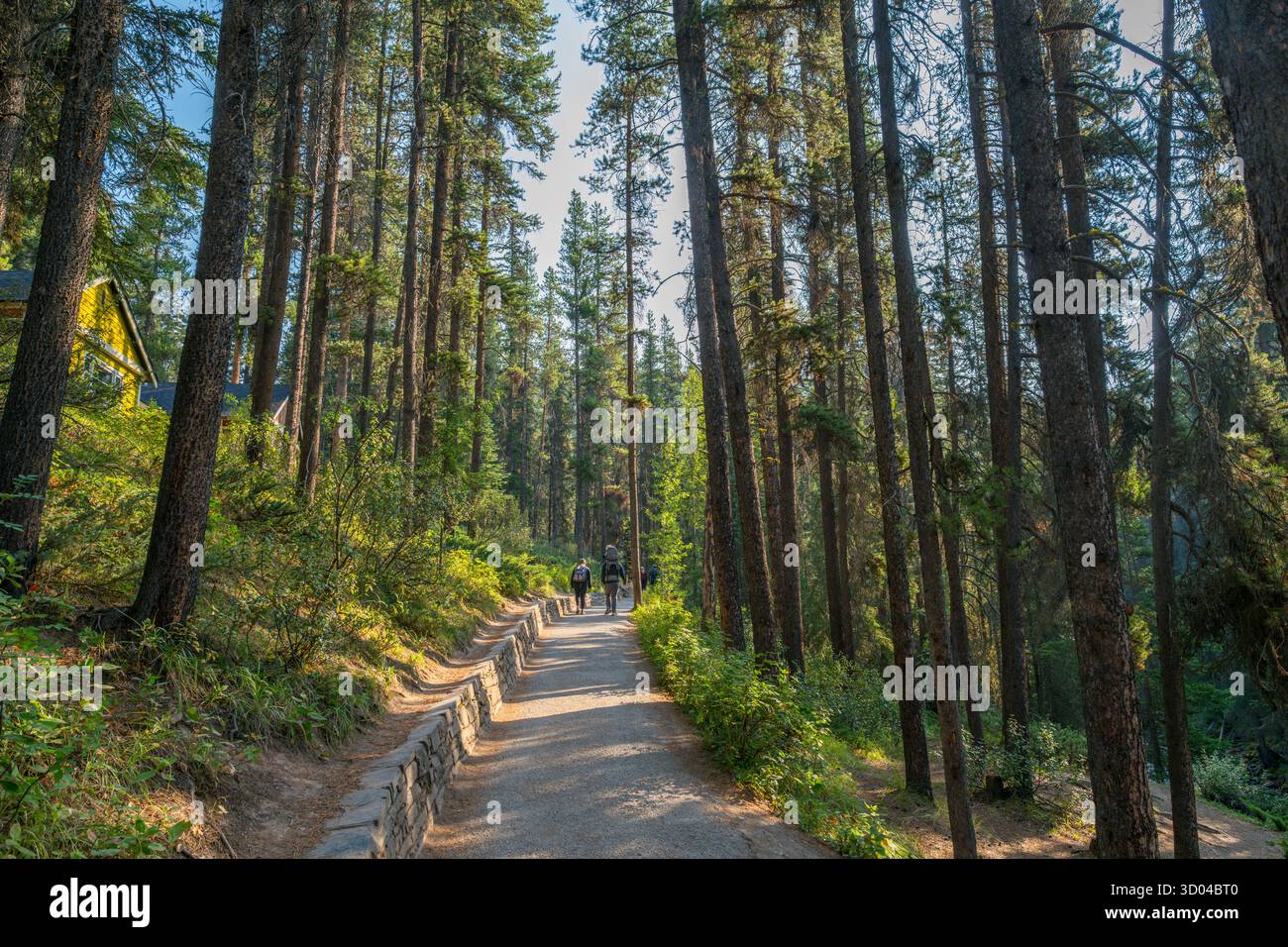 Sentiero per le cascate inferiori del Johnston Canyon presso Johnston Canyon Lodge, Johnston Canyon, Banff National Park, Alberta, Canada Foto Stock