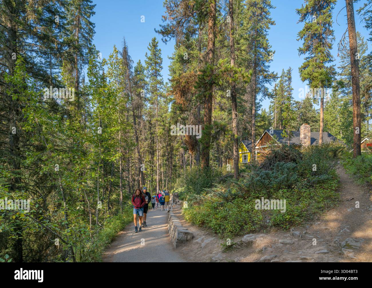 Sentiero per le cascate inferiori del Johnston Canyon presso Johnston Canyon Lodge, Johnston Canyon, Banff National Park, Alberta, Canada Foto Stock
