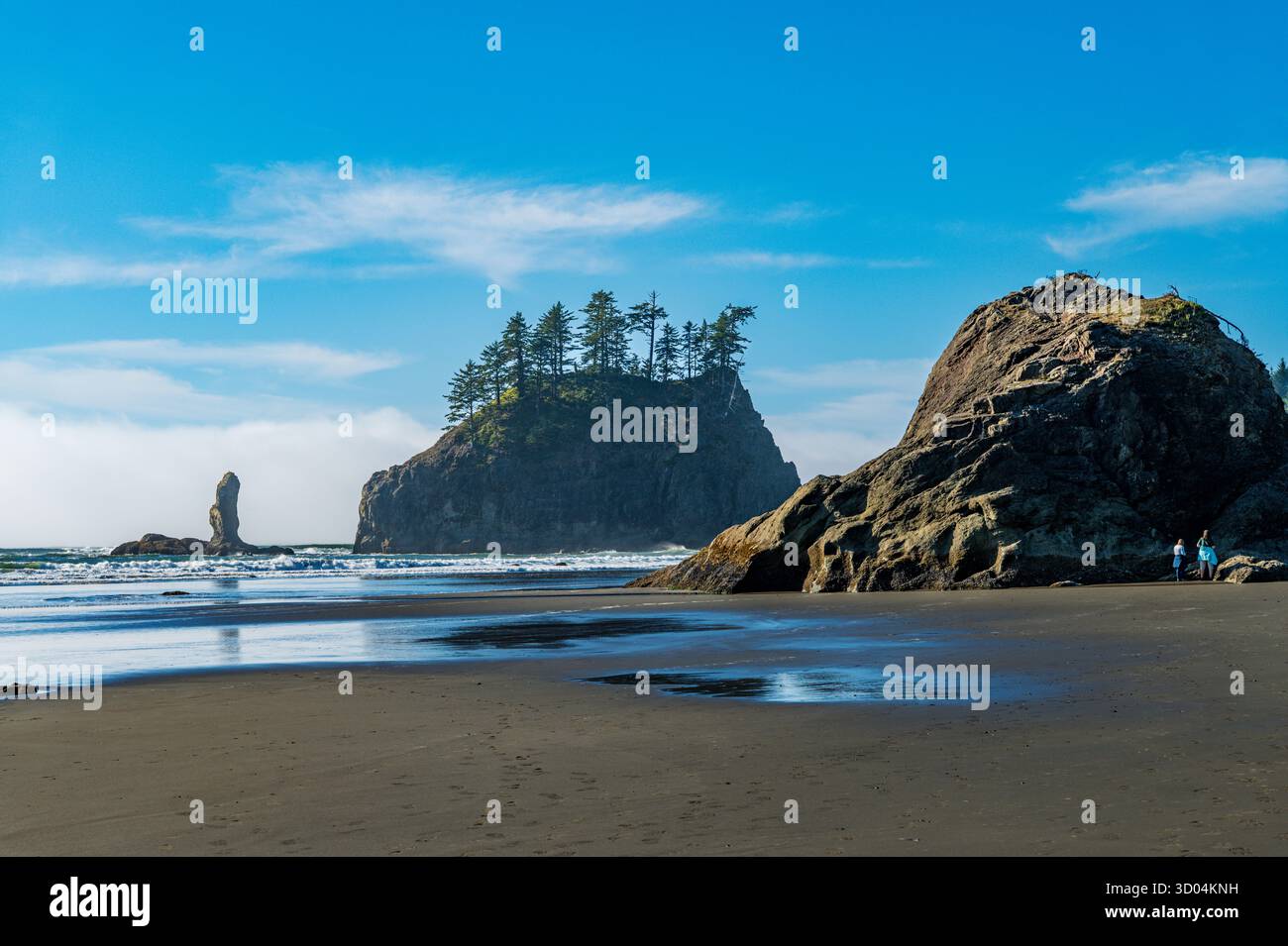 Sea Stacks & Pacific Ocean; la Push Second Beach; Olympic National Park; Washington; Stati Uniti Foto Stock