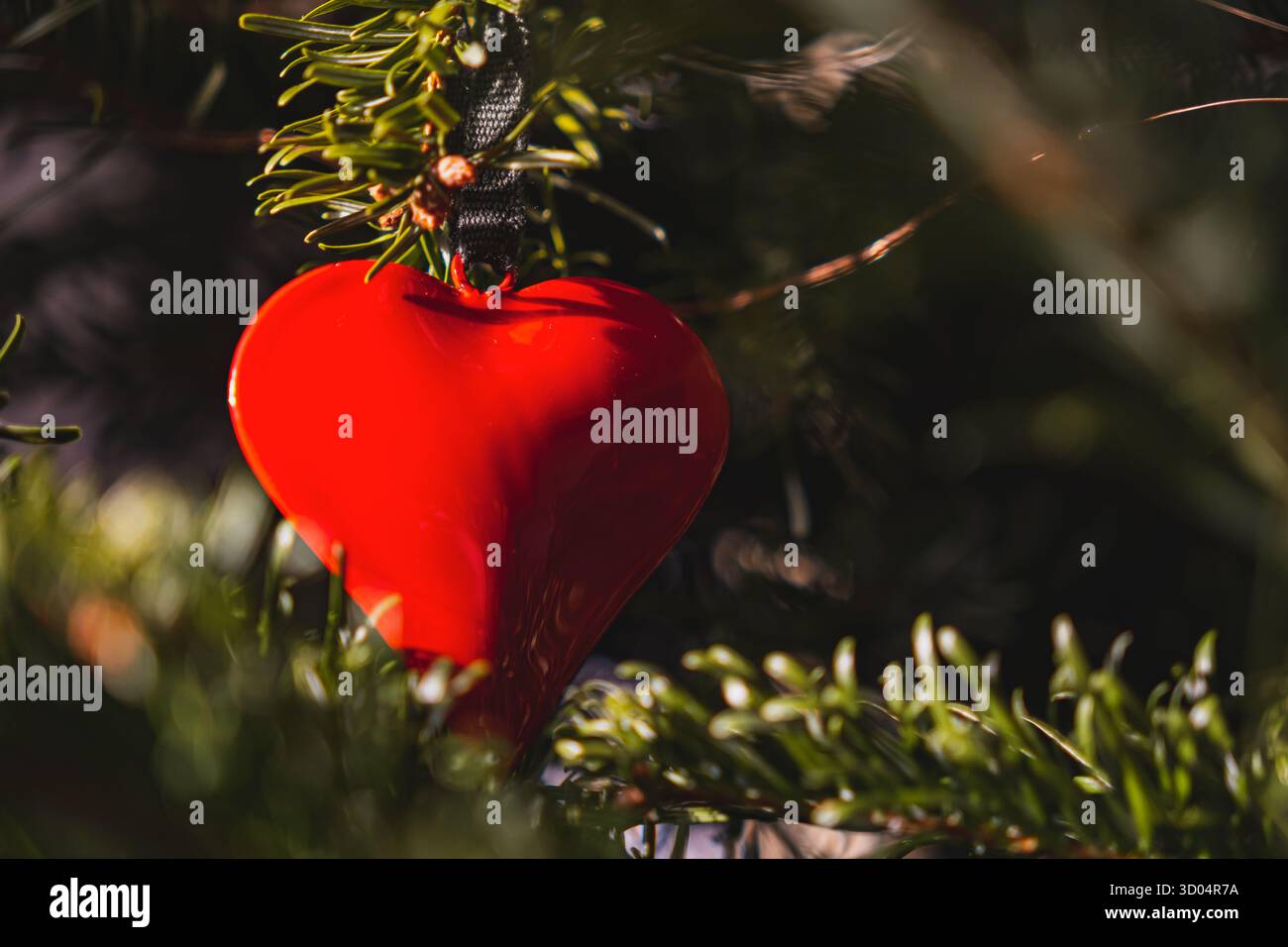 Un ornamento rosso a forma di cuore pende da un ramo verde dell'albero di Natale, illuminato da una luce calda e soffusa. Foto di alta qualità Foto Stock
