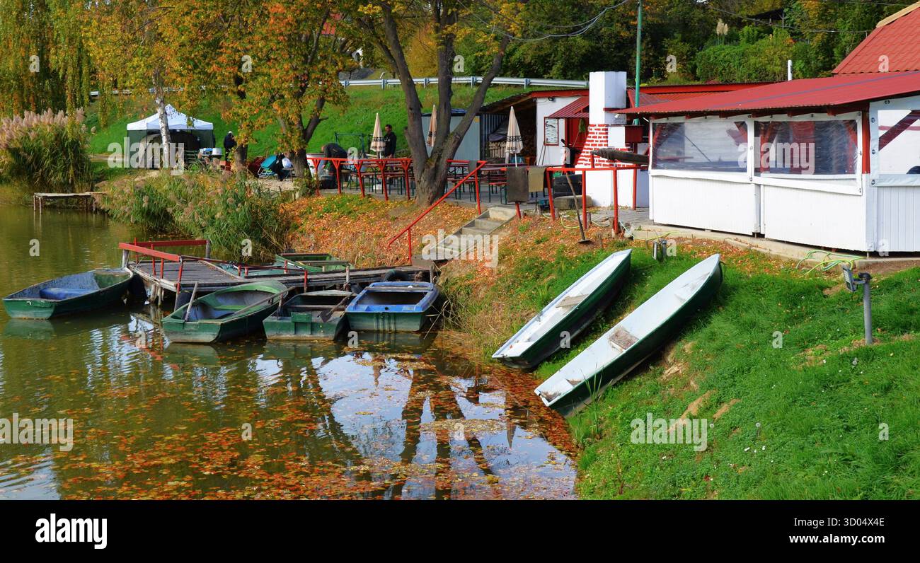 Ristorante presso il laghetto di pesce a Zalacsány, Ungheria Foto Stock