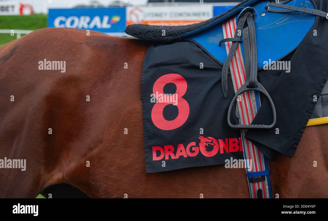 La selletta di un corridore prima che il Dragonbet Welsh Champion si lanci. Crediti JTW equine Images / Alamy Foto Stock