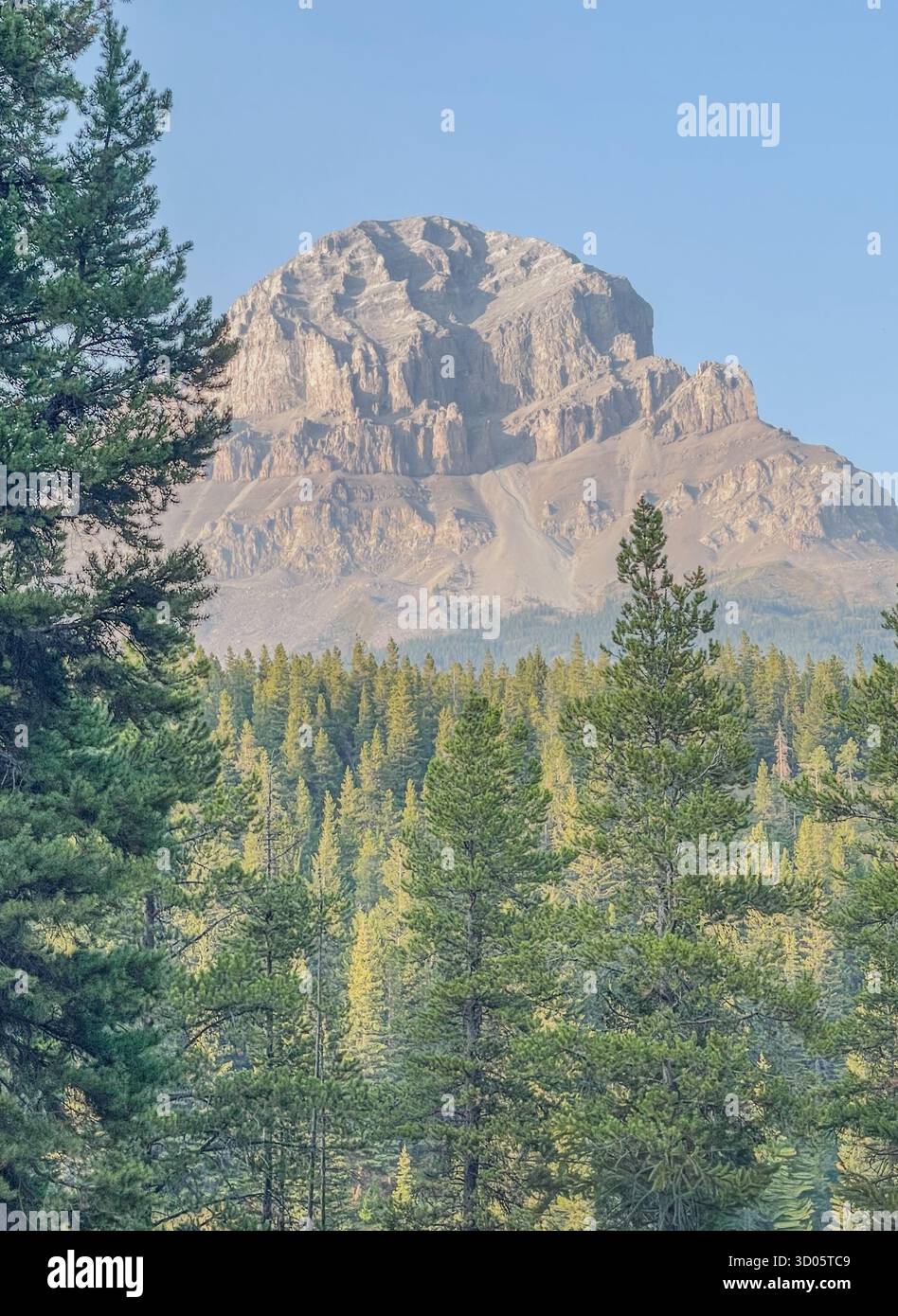 L'aspra montagna si erge dietro una fitta pineta, bagnata dalla luce del sole con un cielo calmo ed esteso. Ideale per la natura, i viaggi e la fotografia all'aperto - Immagine stock catturata con smartphone