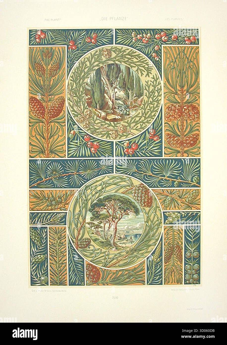 Litografia Art Nouveau intitolata Pine, Cedars of Lebanon di Anton Seder, raffigurante disegni botanici stilizzati e pannelli decorativi ispirati a pini e cedri. 1890. Foto Stock