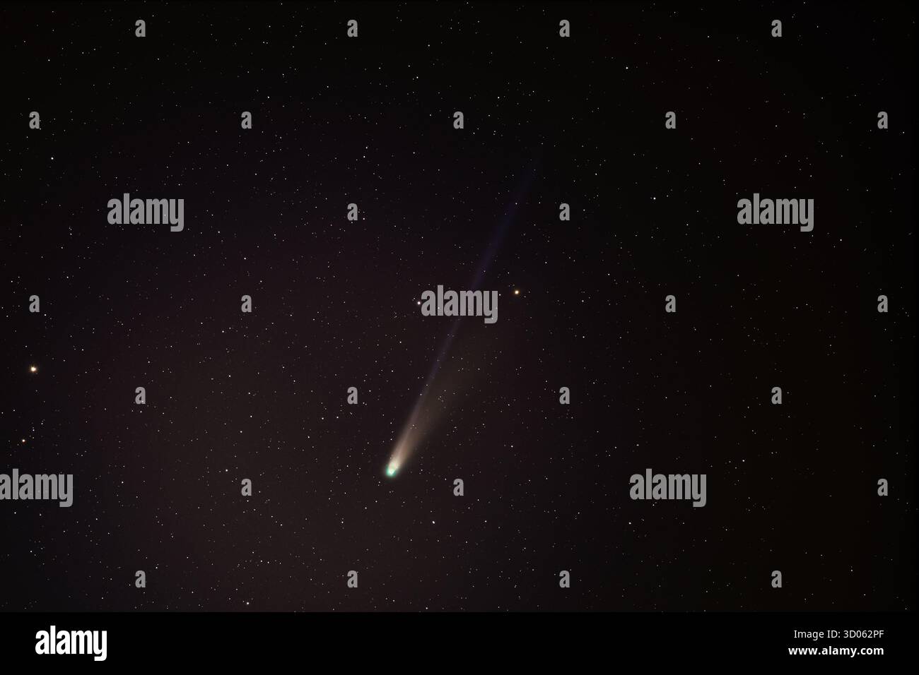 Cometa Lemmon Foto Stock