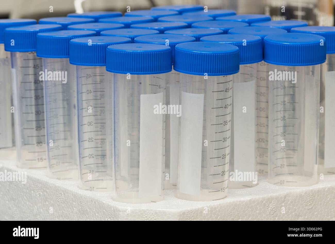 Provette in plastica fiale vuote per flaconi misurazione in millilitro con tappi in vassoio in polistirolo Foto Stock