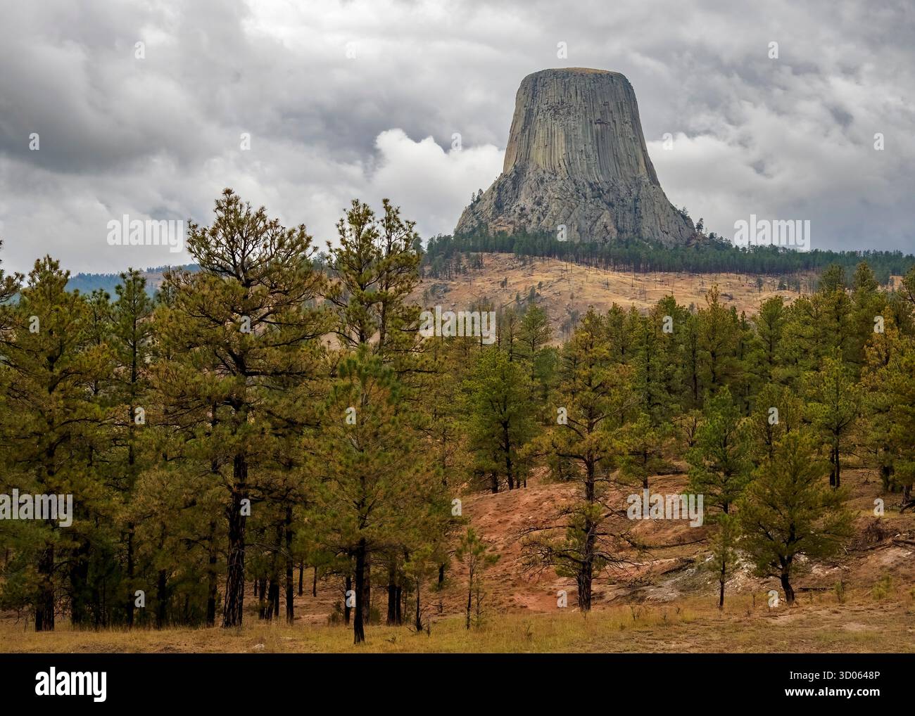 Devils Tower National Monument, Wyoming Foto Stock