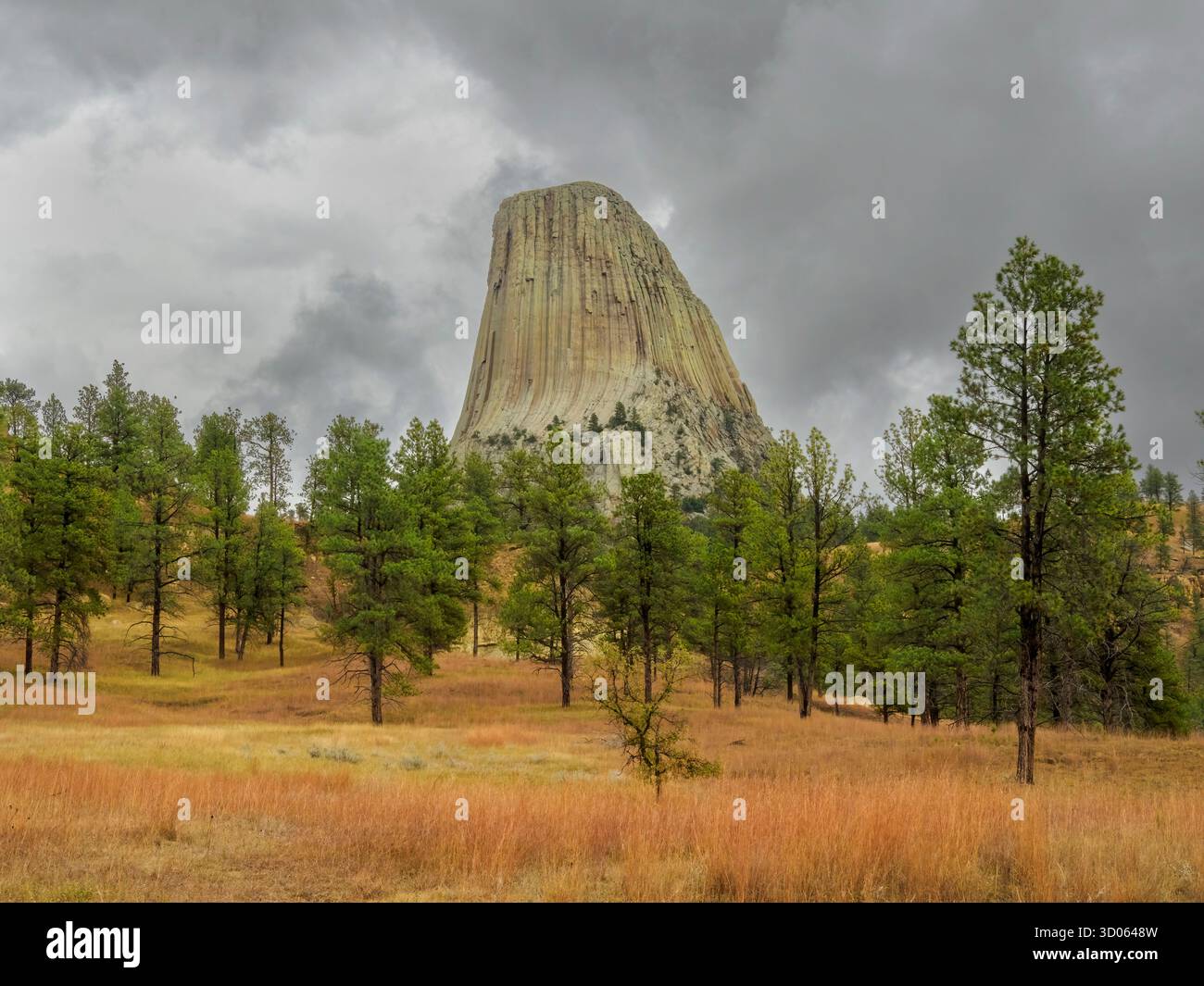 Devils Tower National Monument, Wyoming Foto Stock