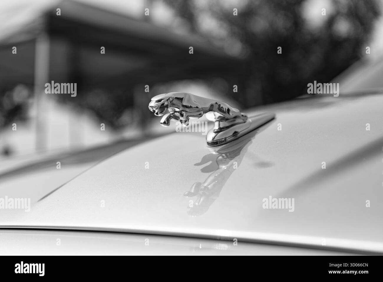 Chicago, Illinois, Stati Uniti - 8 settembre 2024: Auto d'epoca Silver Jaguar S Type 3,4 litri, vista frontale. Cicatrice sportiva retrò. Lusso Foto Stock