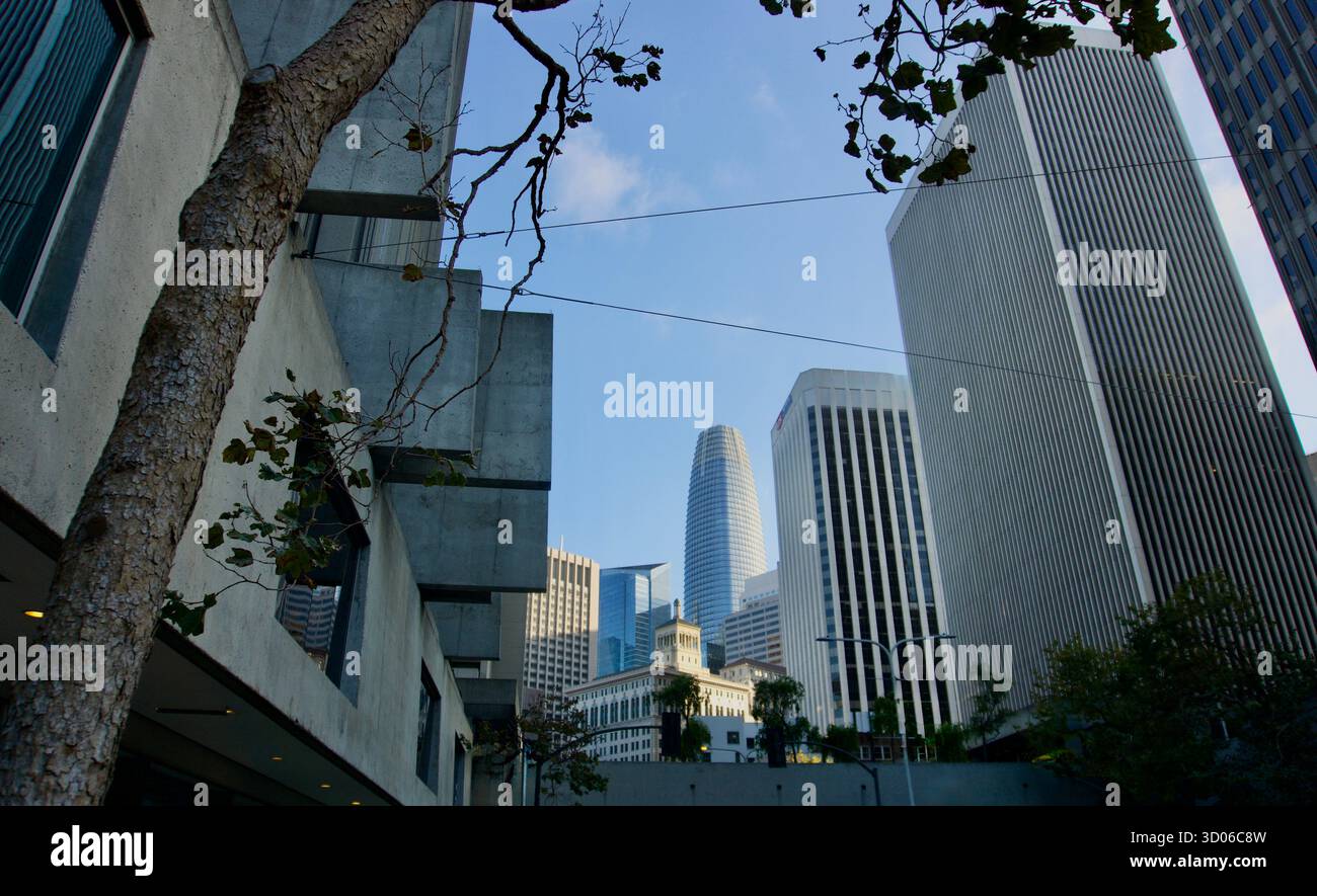 Skyline e architettura moderni - centro di San Francisco Foto Stock