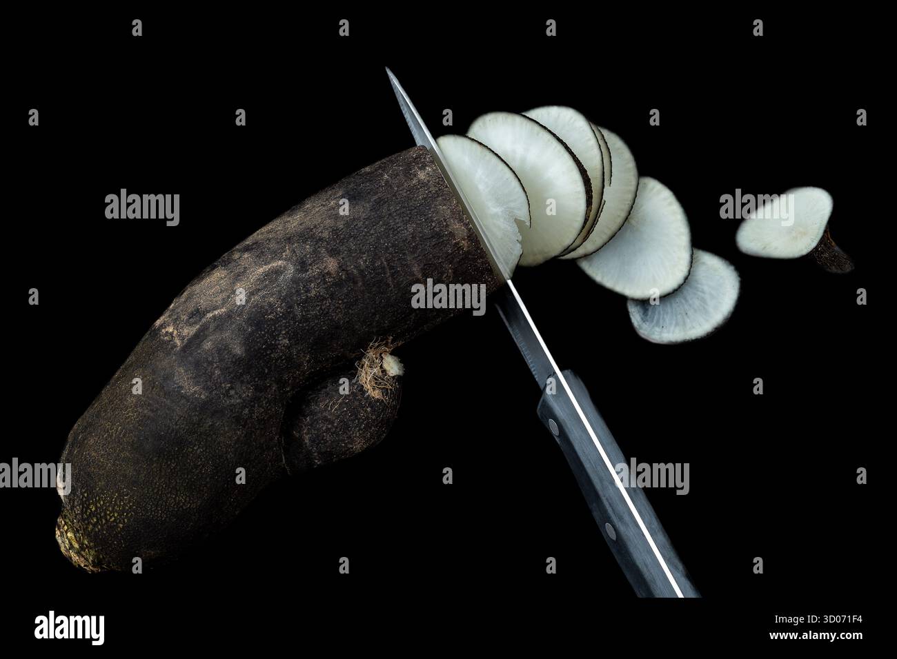 Rafano nero, a fette Foto Stock