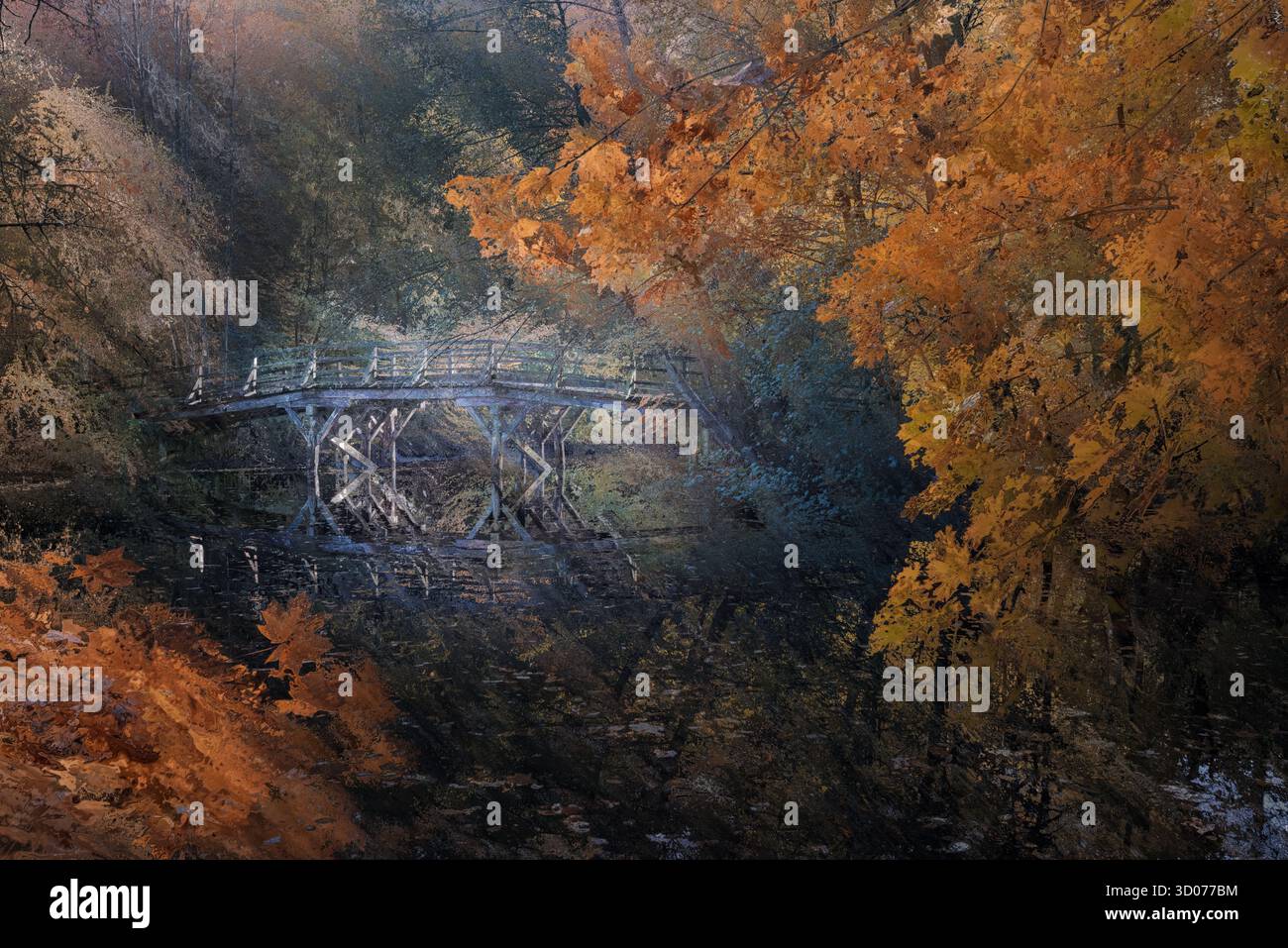 Ponte in legno autunnale sul fiume calmo - paesaggio nebbioso della foresta con foglie dorate e fotografie d'arte pacifiche a riflessione Foto Stock
