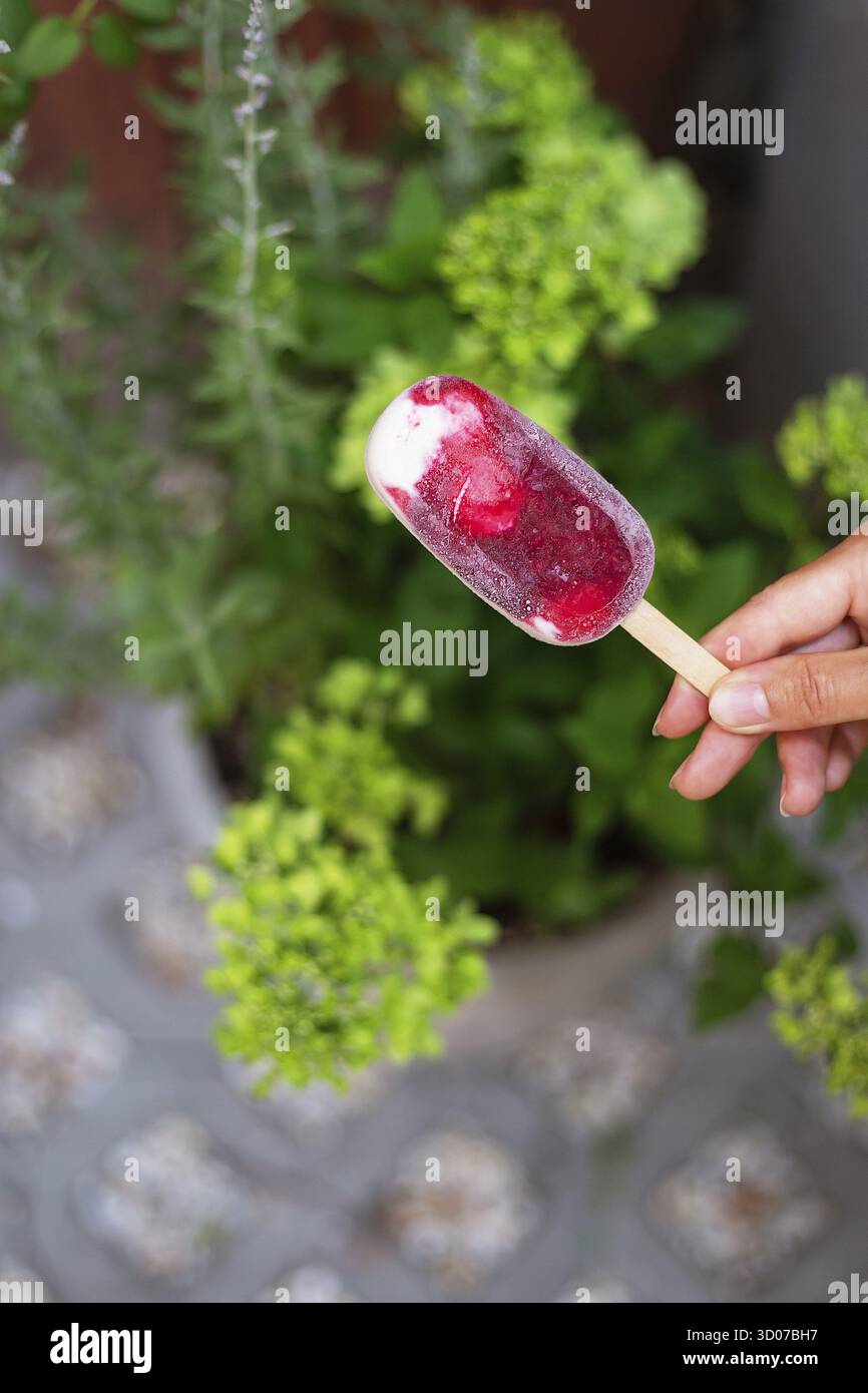 Una mano femminile tiene un gelato naturale fragola-lampone su un bastone sulla strada. Vacanza, estate, caldo, ghiaccio Foto Stock