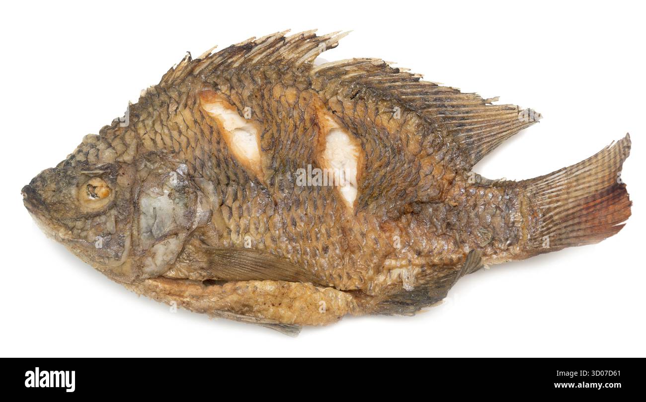 Pesce fritto isolati su sfondo bianco Foto Stock