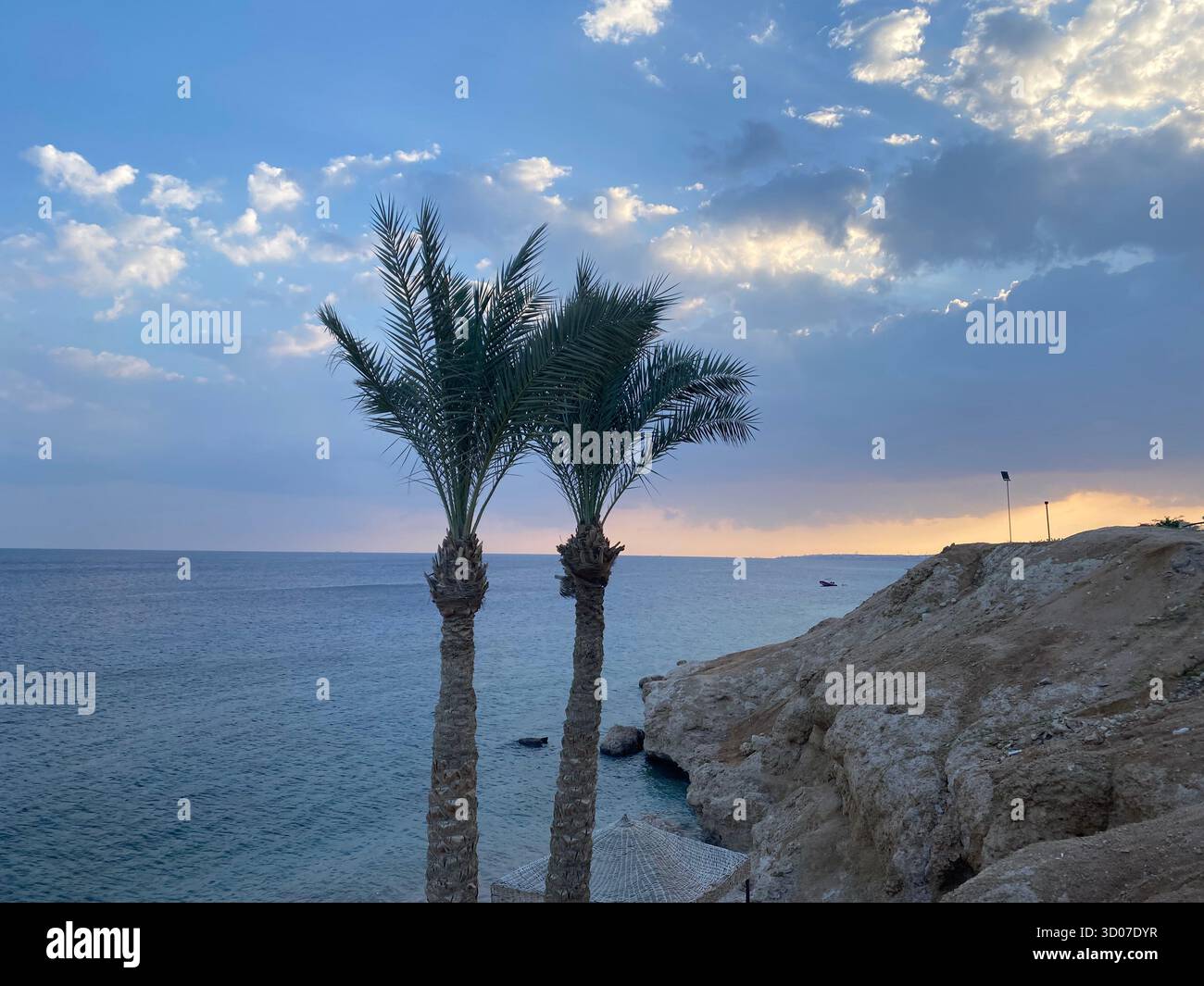 Splendido tramonto sulla costa marina con palme. Il miglior ricordo delle vacanze. Foto Stock