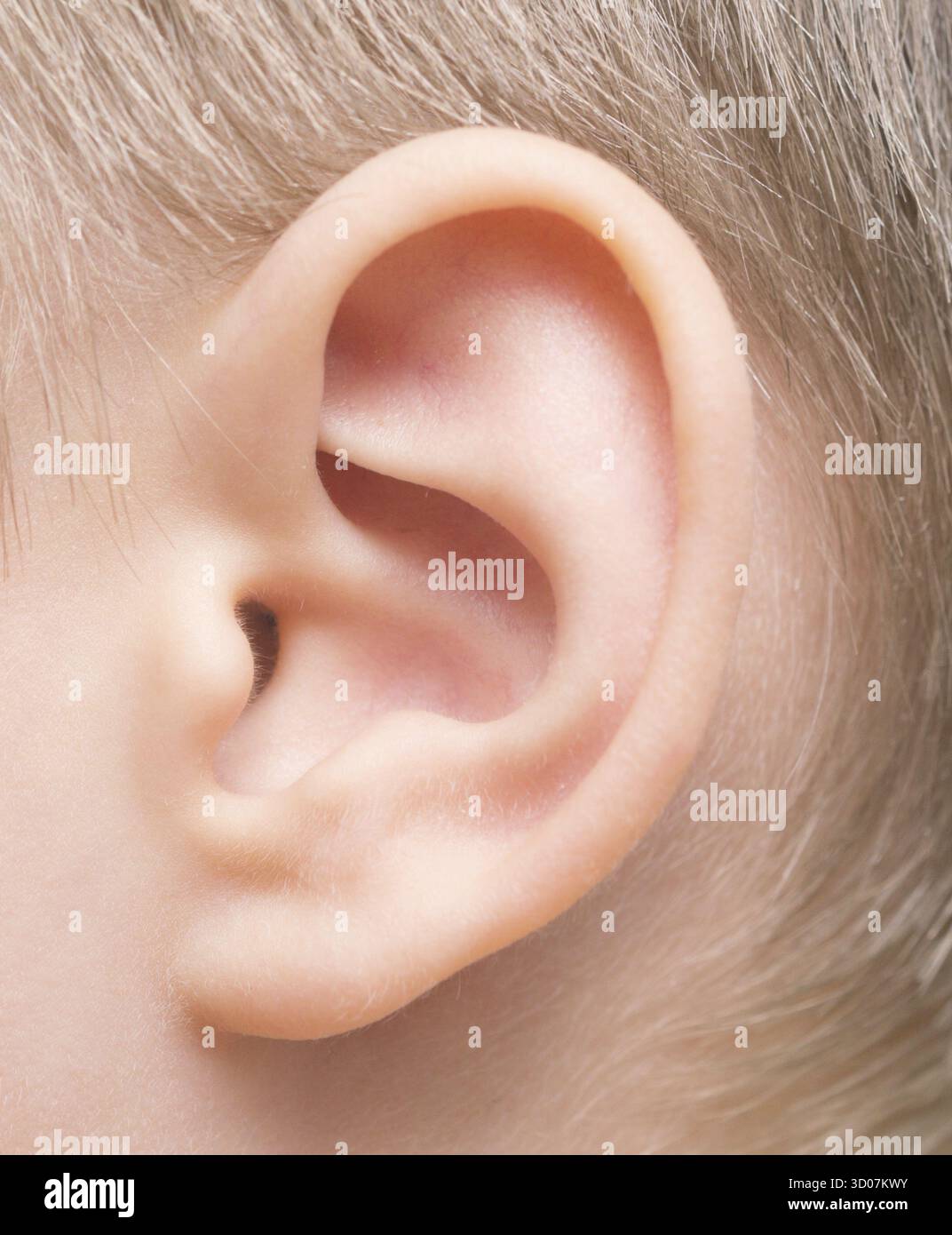 Primo piano dell'orecchio del bambino Foto Stock