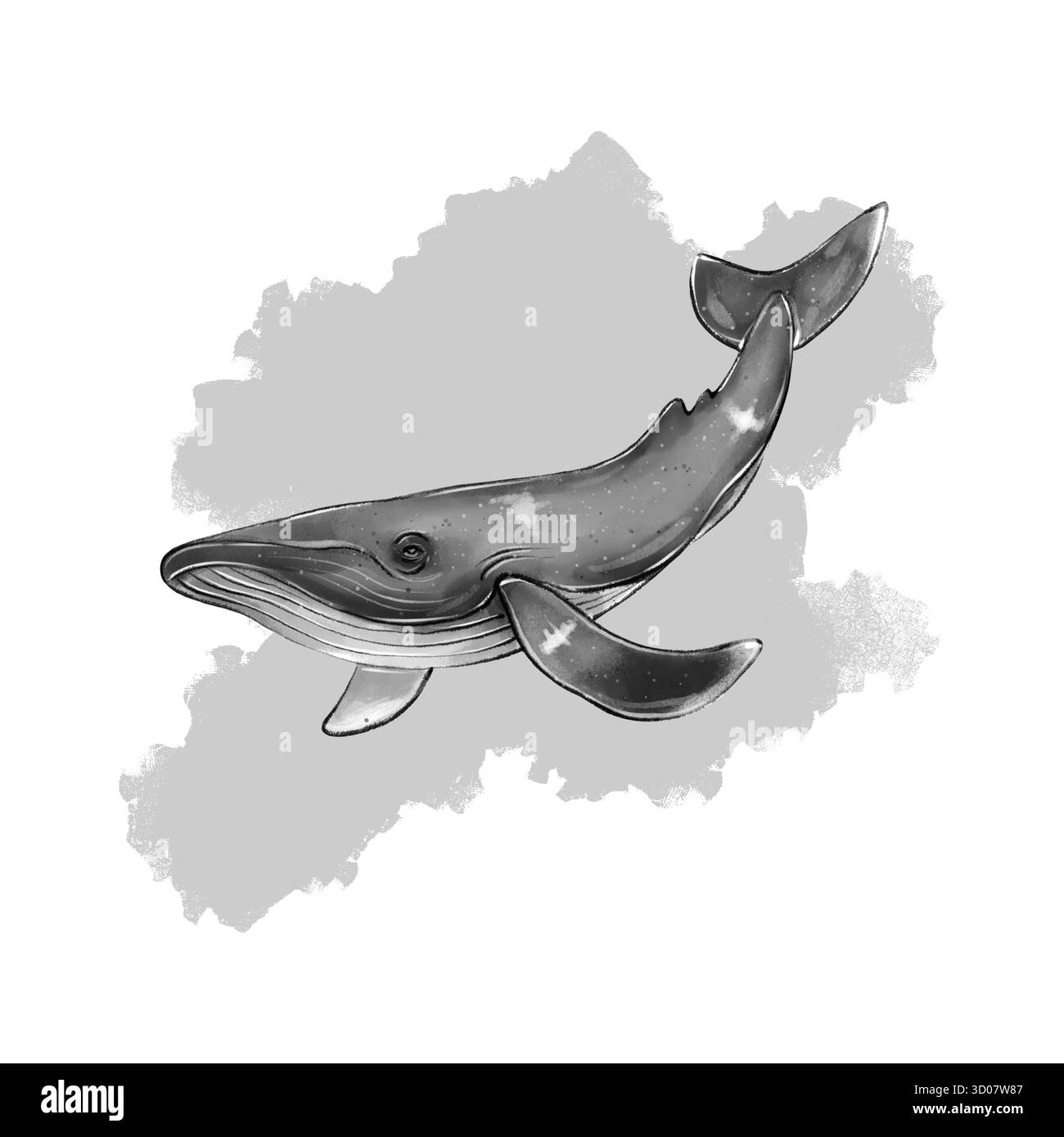 Immagine raster in bianco e nero di una balena con sfondo a spazzola. Perfetto per design marino, imballaggi, materiali didattici, decorazioni nautiche e progetti artistici a tema subacqueo. Foto Stock