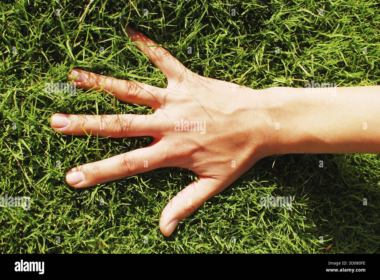 Una mano sull'erba verde Foto Stock