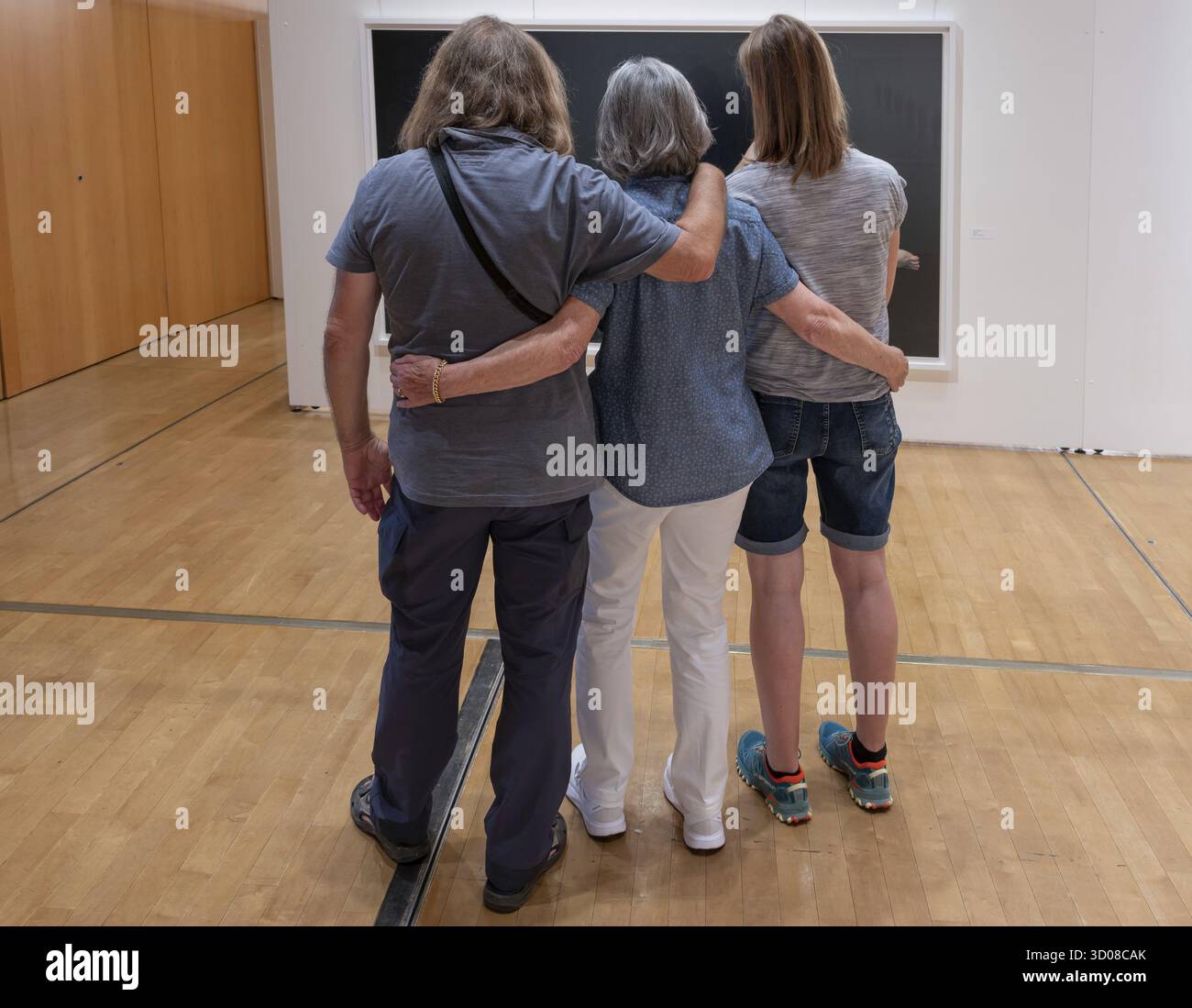 Tre visitatori guardano un dipinto in una mostra, Baviera, Germania Foto Stock