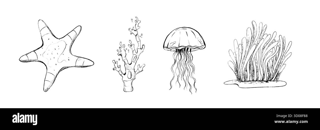 Una collezione di disegni in stile schizzo di creature marine, alghe marine e coralli Foto Stock