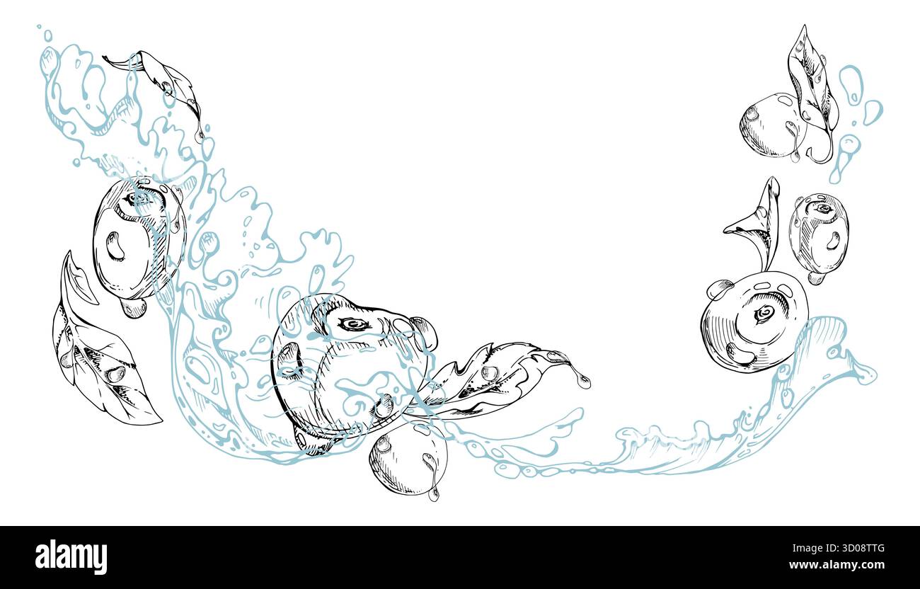 La dolce ciliegia acida che vola in acqua spruzza gocce, inchiostro vettoriale disegnato a mano, bacche e foglie mature. Illustrazione della composizione isolata Illustrazione Vettoriale