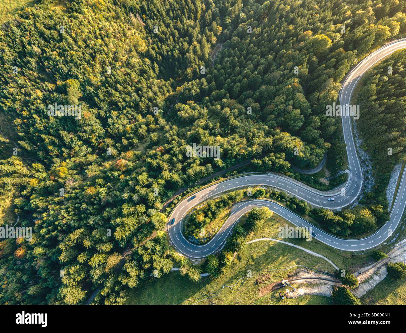 Vista aerea di una strada tortuosa che serpeggia attraverso una fitta foresta di vivaci sfumature verdi e dorate, Bad Hindelang, Bayern, Deutschland. Foto Stock