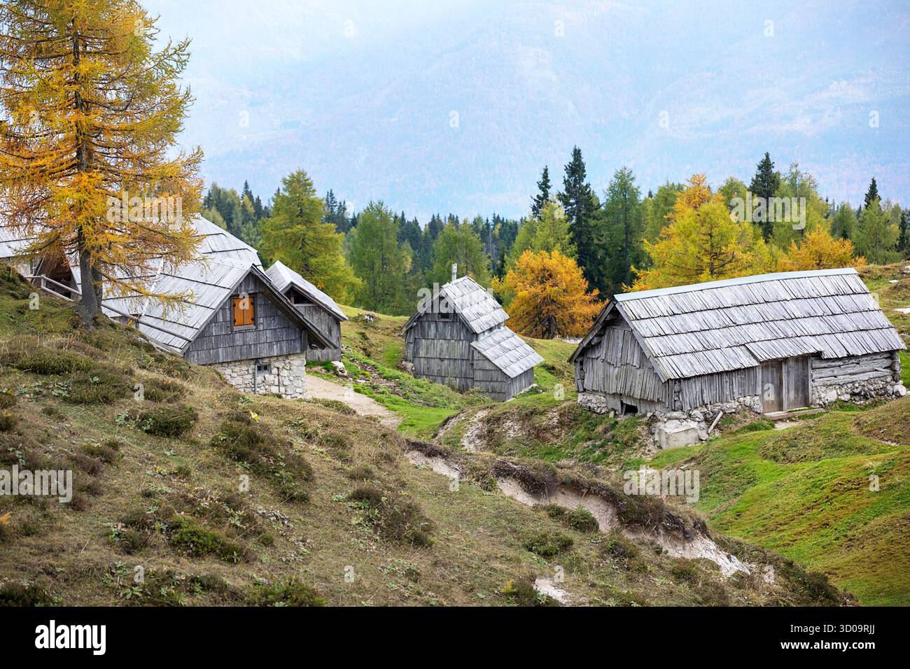 Prato alpino di Krstenica, alto sopra il lago di Bohinj in colori autunnali, tradizionali capanne di pastori in legno circondate da larici, Slovenia Foto Stock