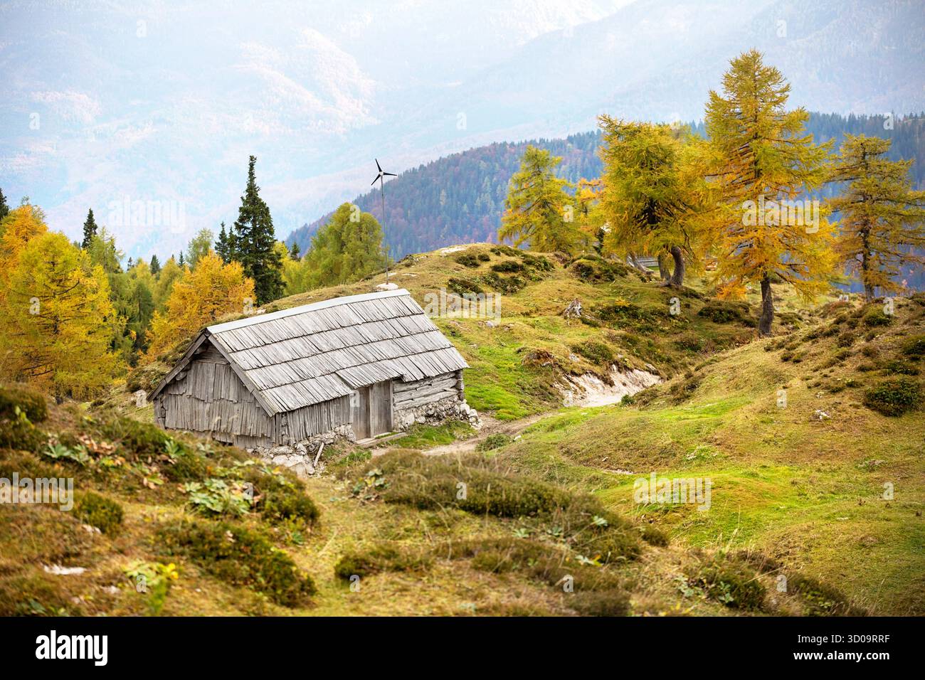 Prato alpino di Krstenica, alto sopra il lago di Bohinj in colori autunnali, tradizionali capanne di pastori in legno circondate da larici, Slovenia Foto Stock