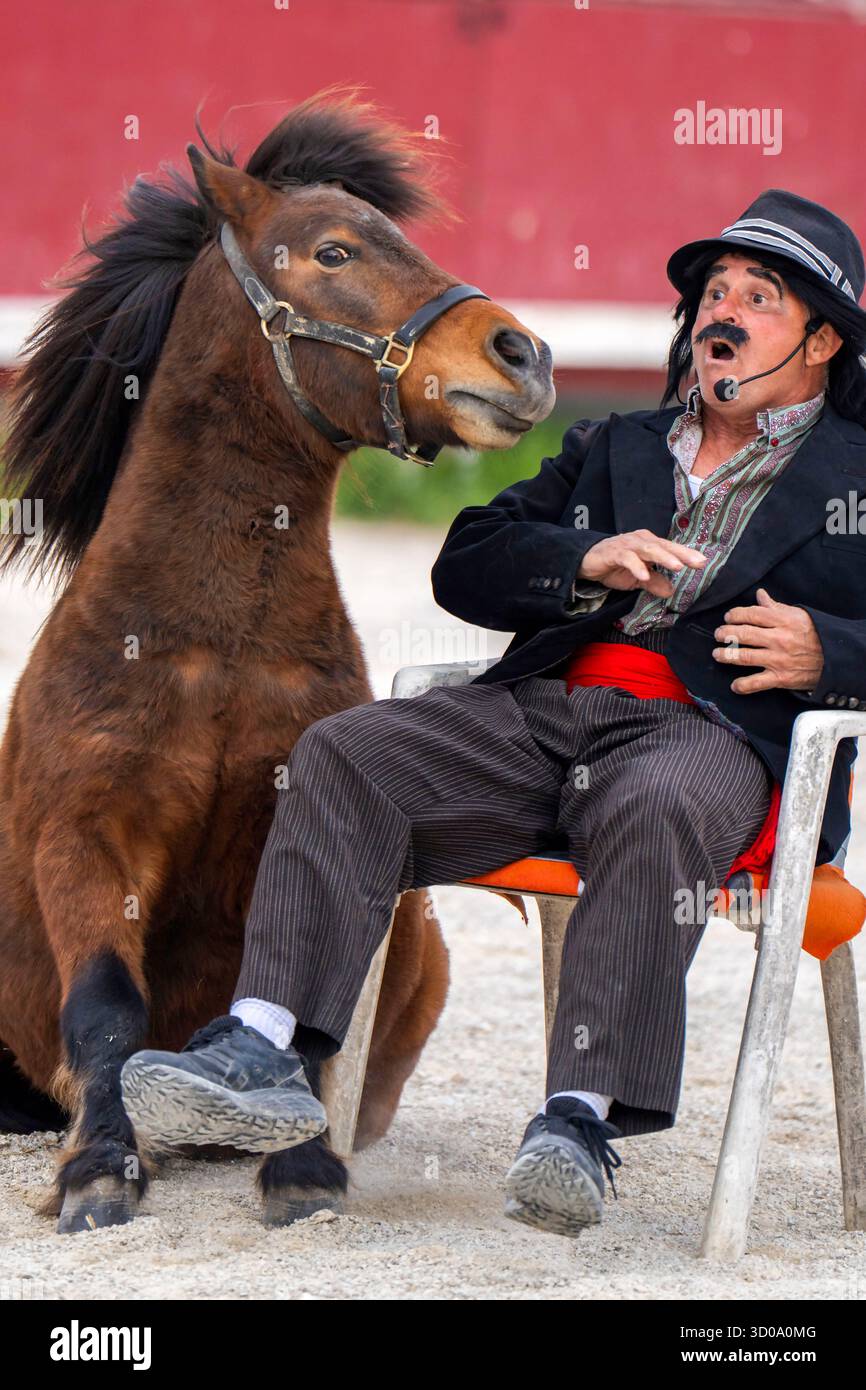 Francia, Gard, Aubais, commedia equestre Foto Stock