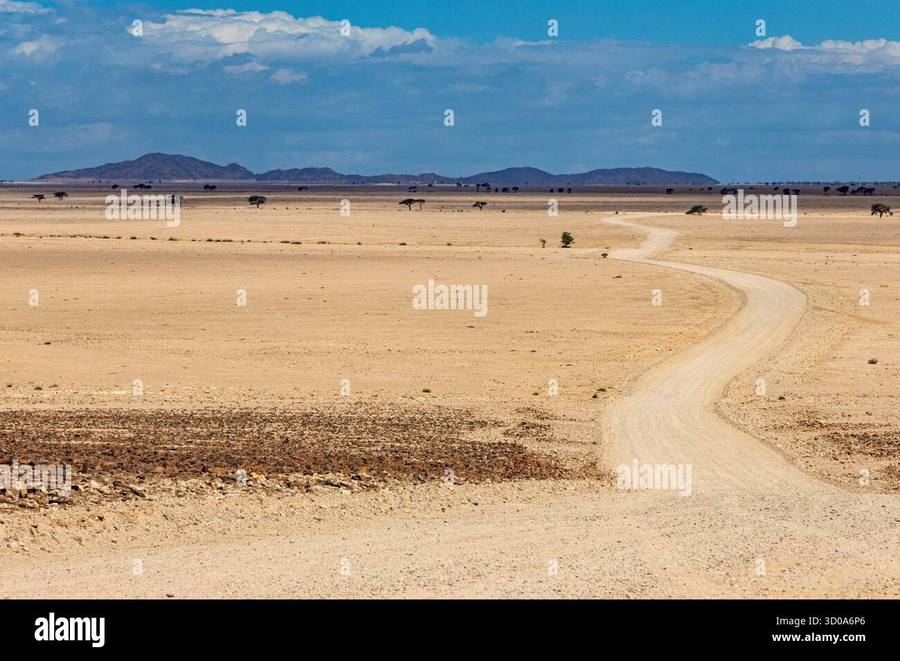 Namibia, deserto del Namib, parco nazionale Namib-Naukluft, strada sterrata nel deserto Foto Stock