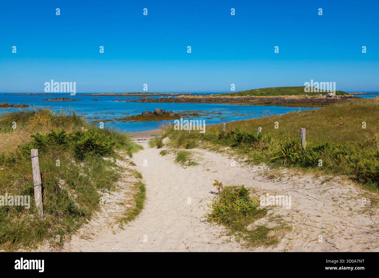 Francia, manche, Granville, isole Chausey, Grand Island, spiaggia di grande Greve Foto Stock
