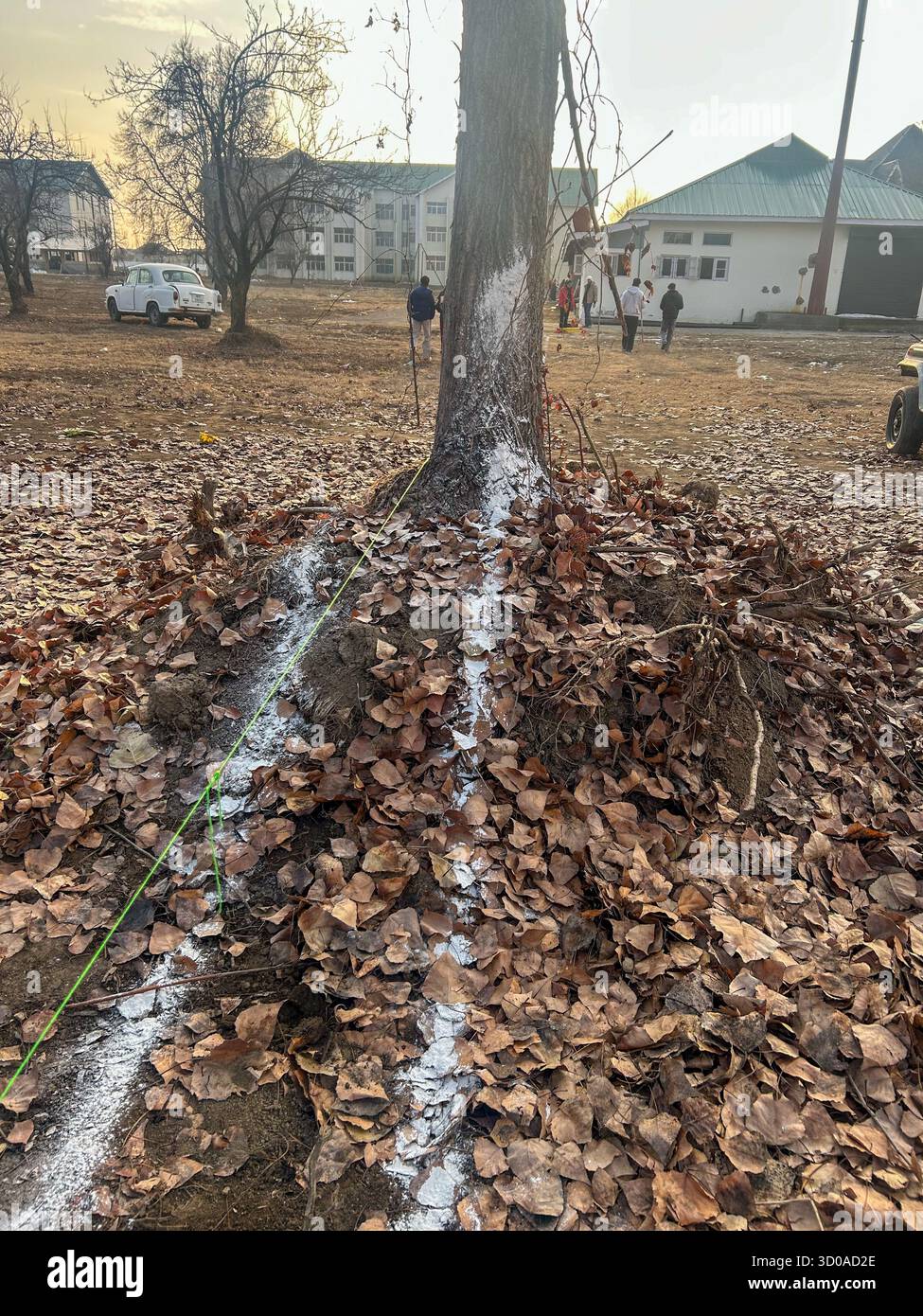 Rilevamento con gesso in polvere durante l'autunno in Kashmir Foto Stock