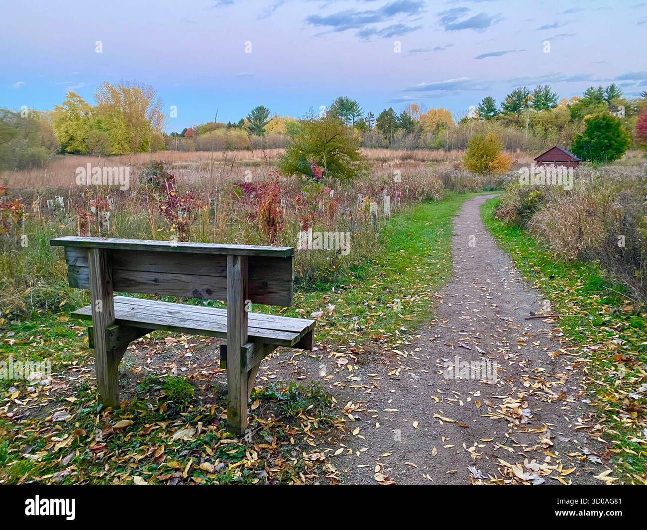 Fai una panchina in un parco nel Midwest degli Stati Uniti con piante colorate intorno per offrire riposo agli escursionisti Foto Stock