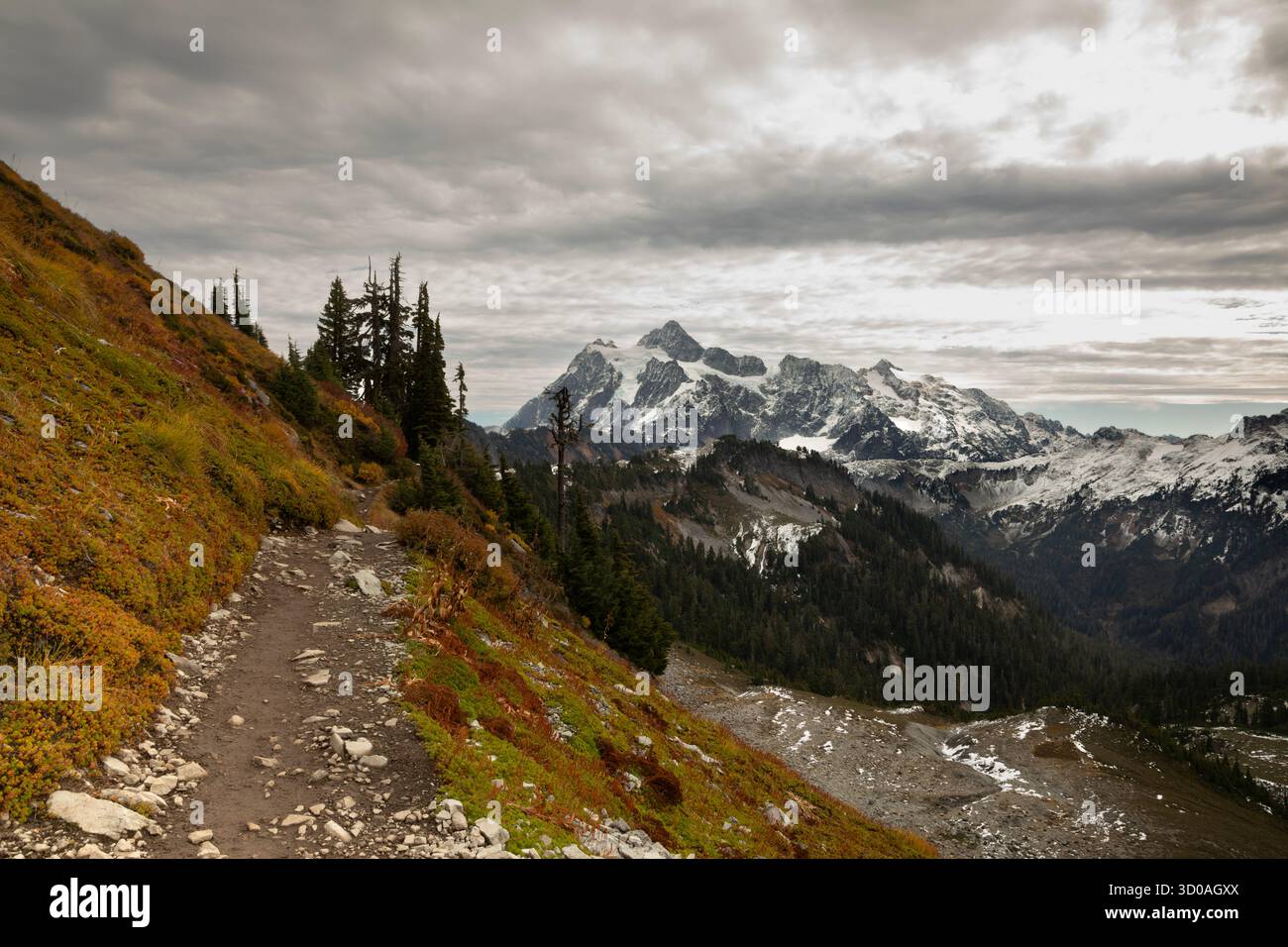 WA28632-00...WASHINGTON - colori autunnali lungo il sentiero per Ptarmigan Ridge nella Mount Baker Wilderness area. Foto Stock