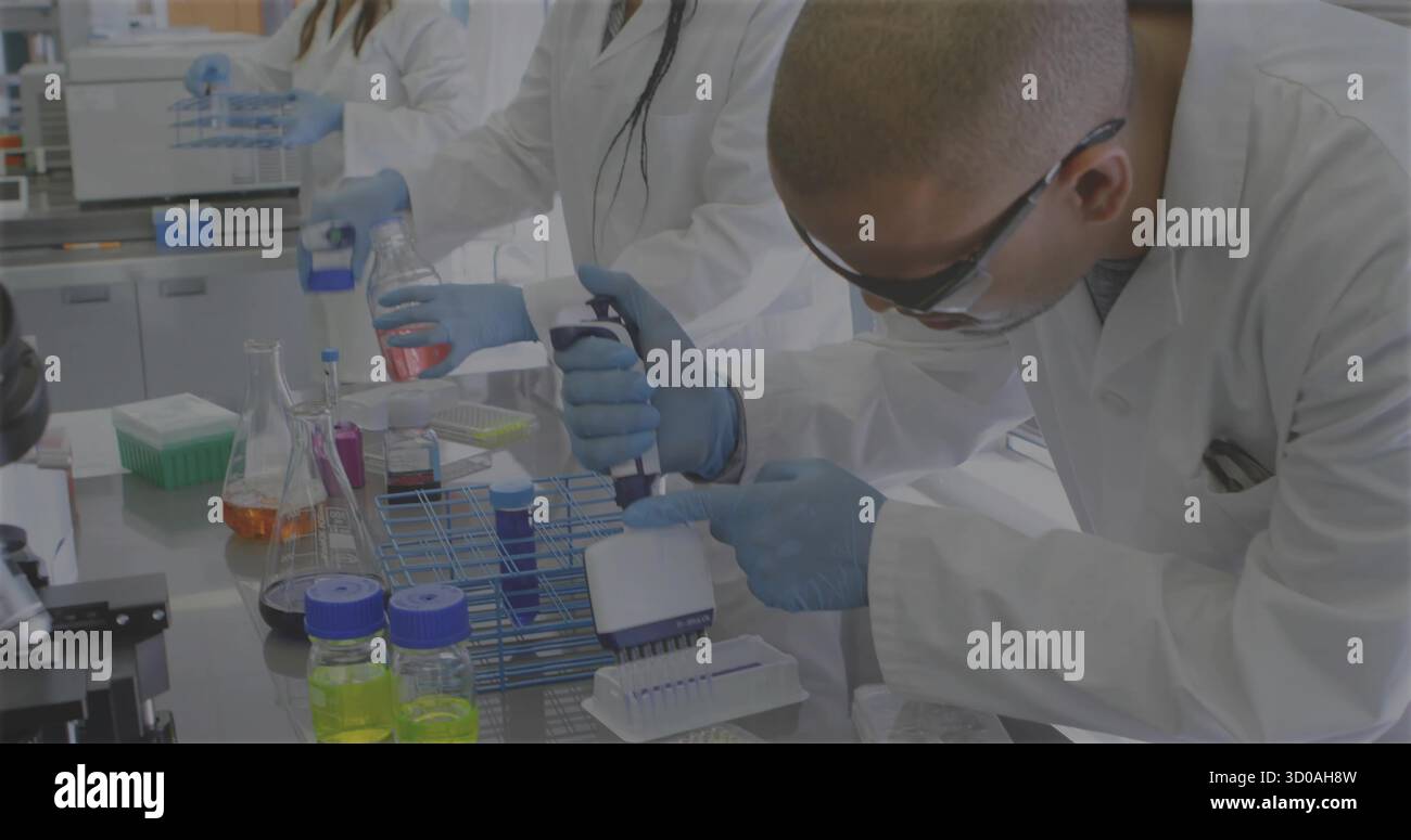 Utilizzo di un esperto di pipette multicanale nei guanti da laboratorio per dispensare campioni in laboratorio, copiare lo spazio Foto Stock