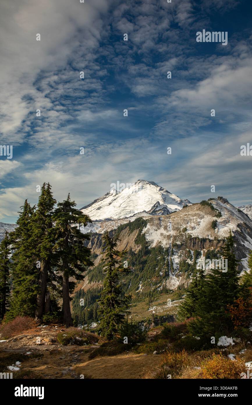 WA28635-00...WASHINGTON - Monte Baker visto da Kulshan Ridge, Mt. Baker Snowqualmie National Forest. Foto Stock